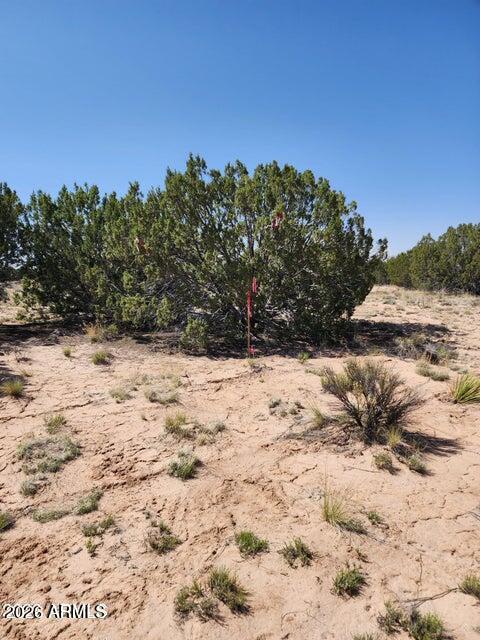 G-Bar Ranch - Land