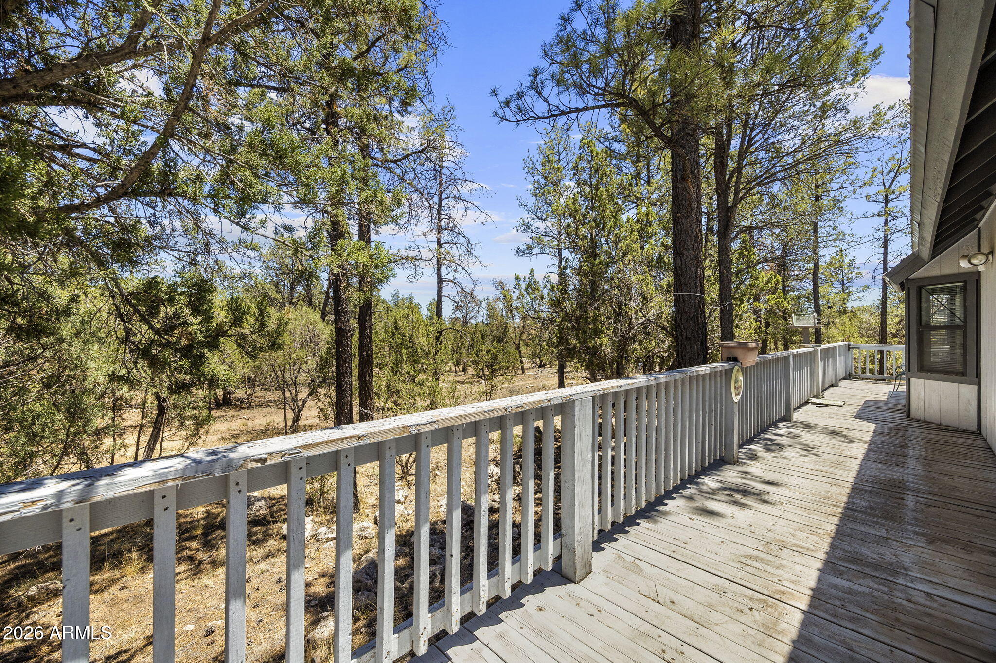PINE SHADOWS - Residential