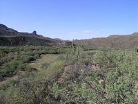 5 Acres or More - Residential