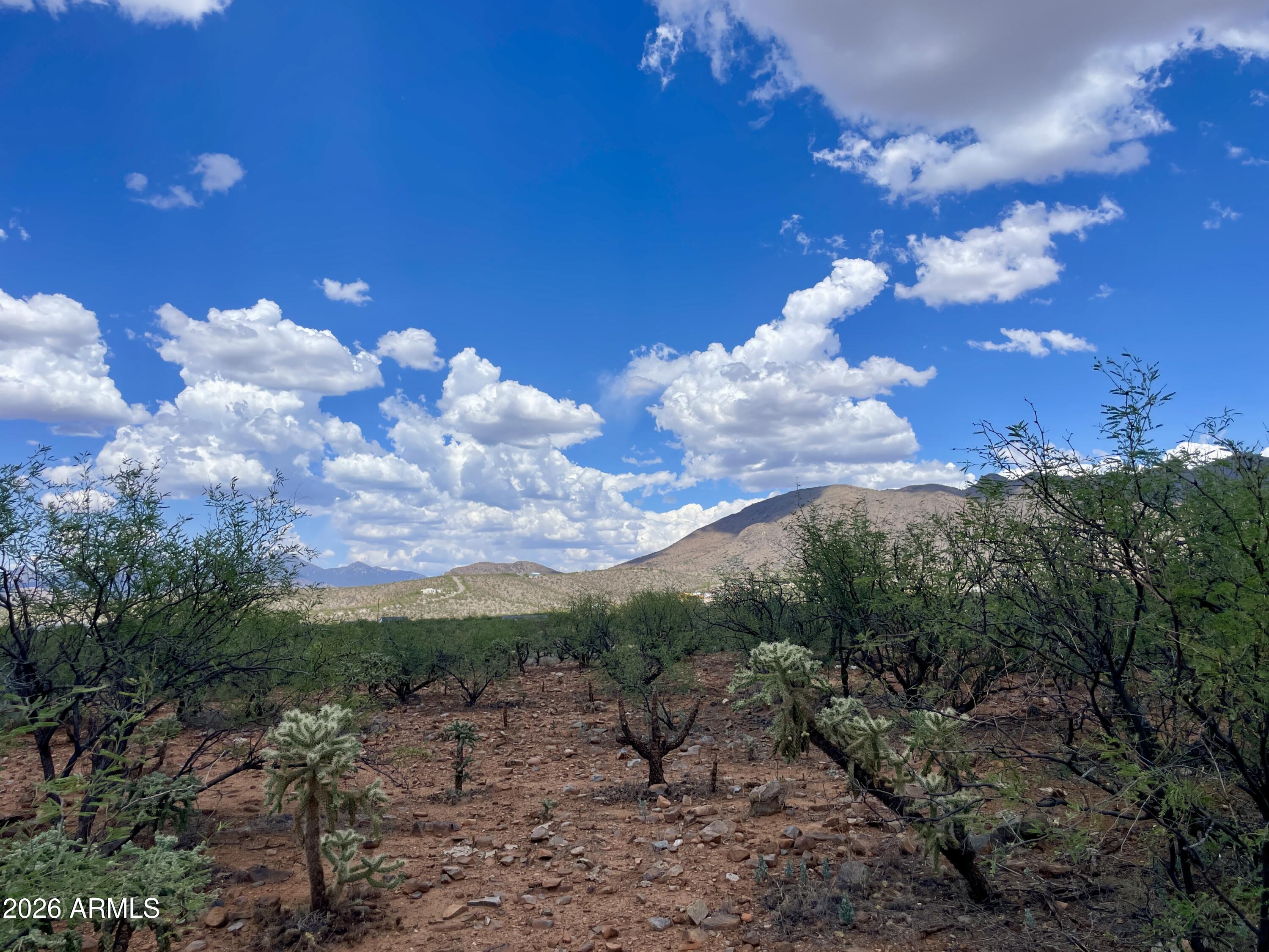 Sub Rio Rico Ranchettes Unit No.18 Lot 49 Of Blk 518 - Land