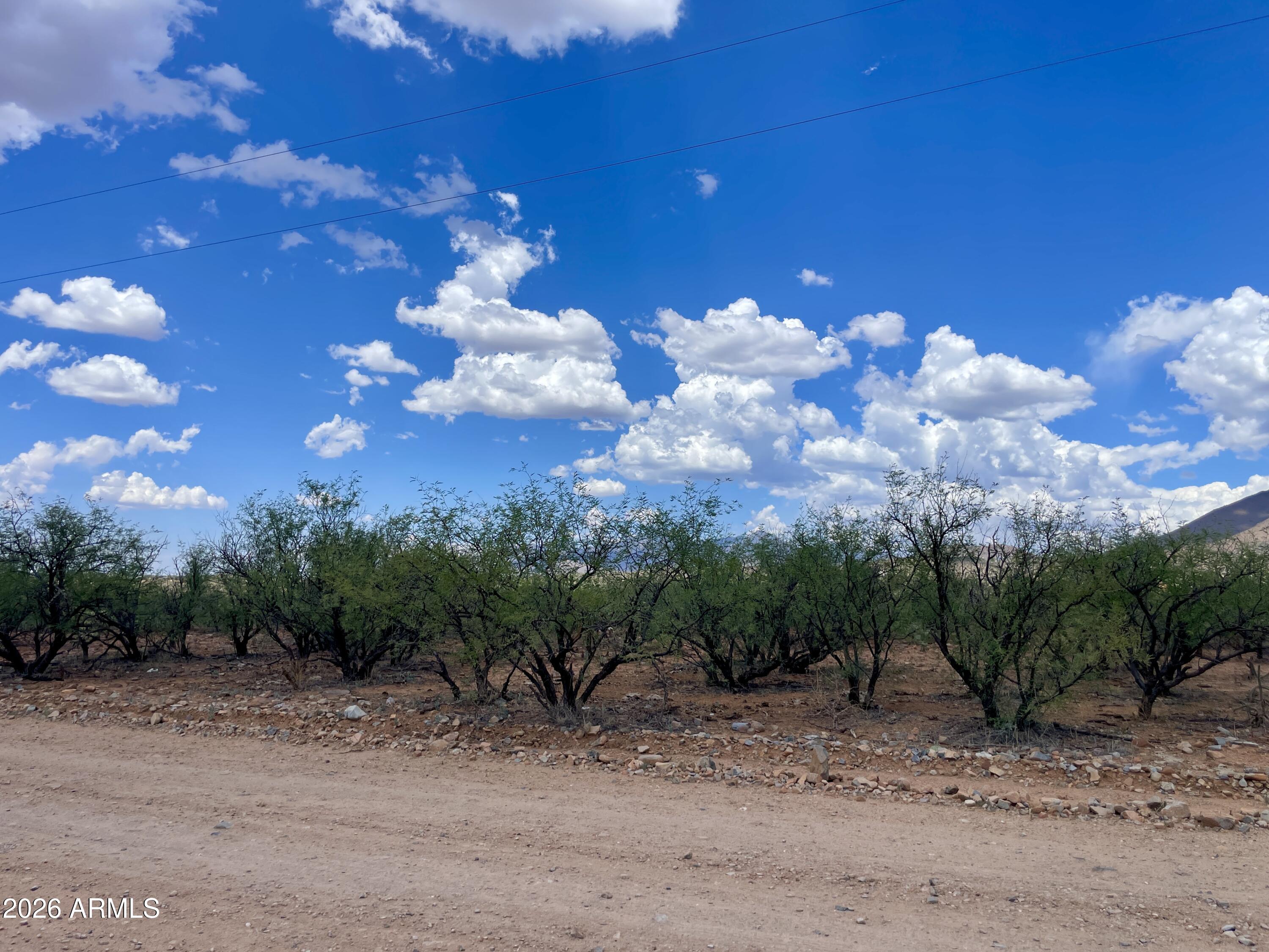 Sub Rio Rico Ranchettes Unit No.18 Lot 49 Of Blk 518 - Land