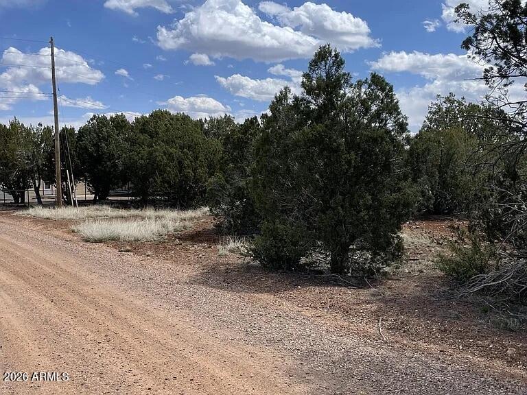 0.26-acre corner lot in White Mountain Lakes. Ideal for a primary residence or weekend retreat. Property owners enjoy exclusive access to the only private lake in the White Mountains allowing power boats, jet skis, and water skiing, plus a private sandy beach and swimming area. Located approx. 25 minutes from Pinetop-Lakeside and 1 hour from Sunrise Ski Resort. Great opportunity for year-round recreation.