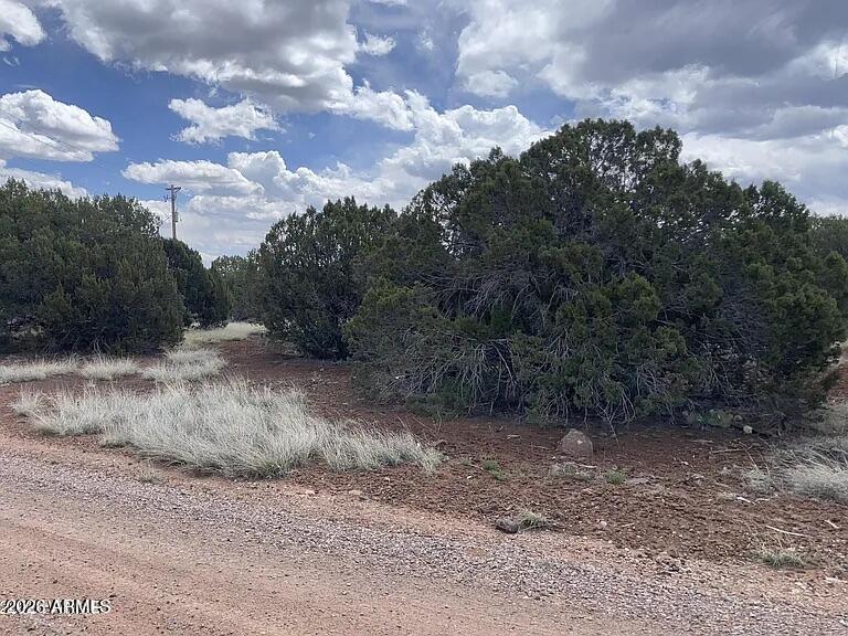 WHITE MOUNTAIN LAKE ESTATES - Land