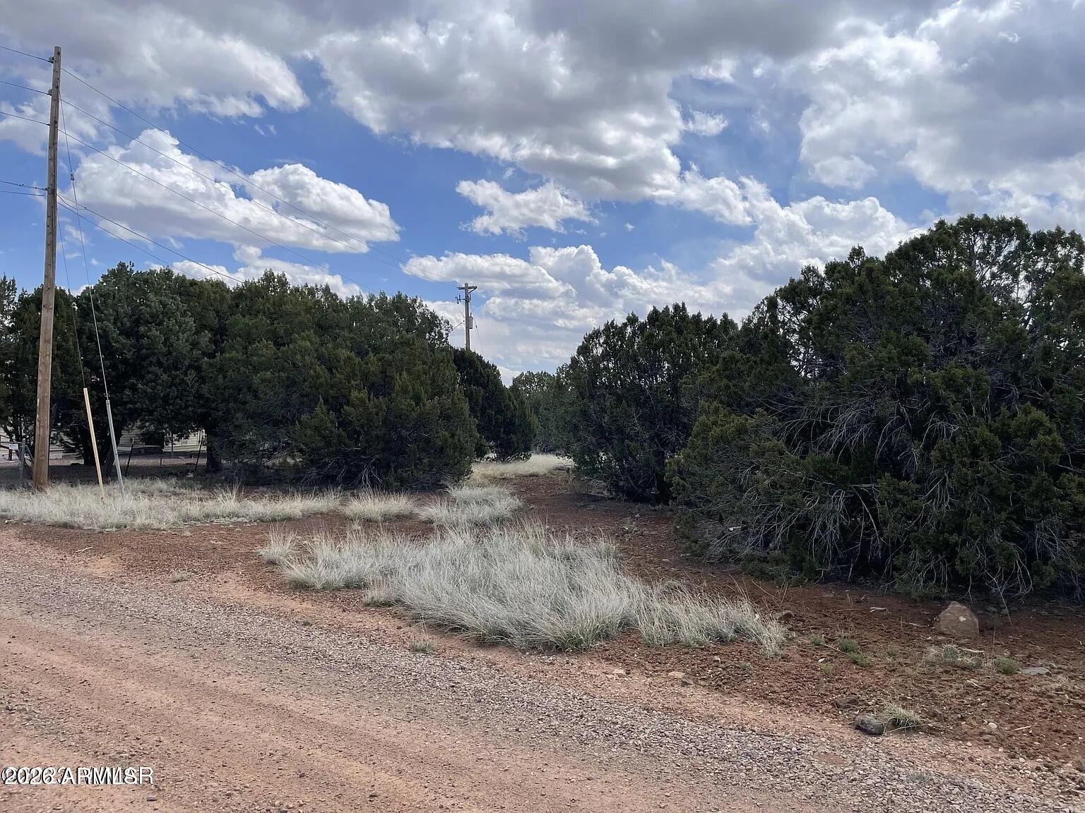 WHITE MOUNTAIN LAKE ESTATES - Land