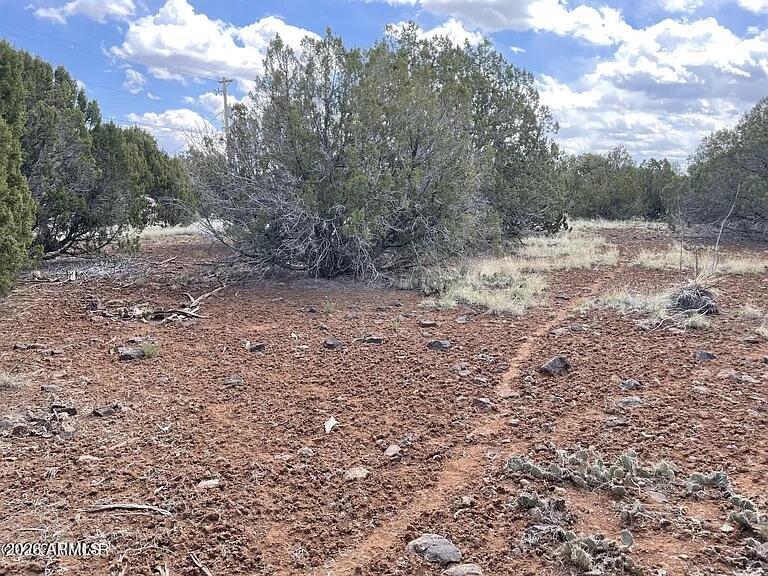 WHITE MOUNTAIN LAKE ESTATES - Land
