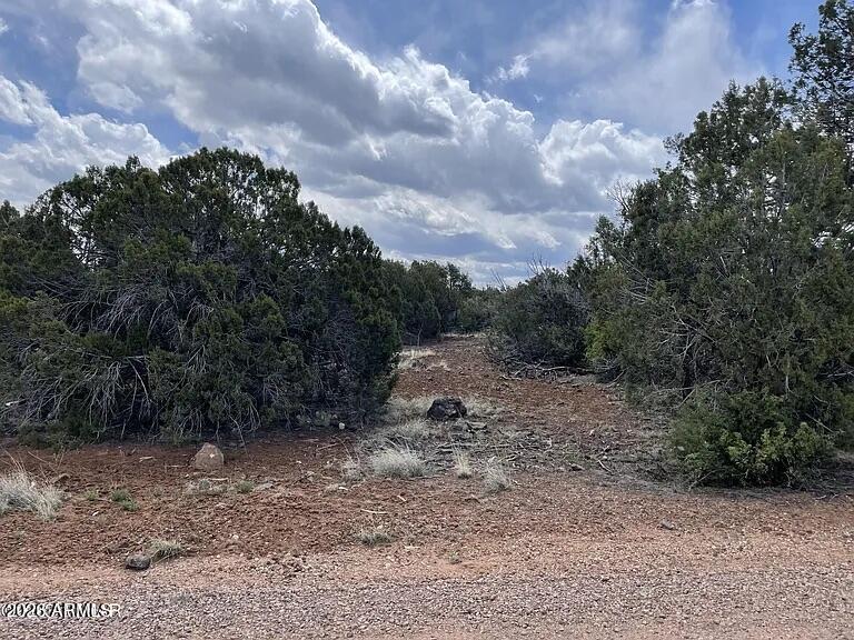 WHITE MOUNTAIN LAKE ESTATES - Land