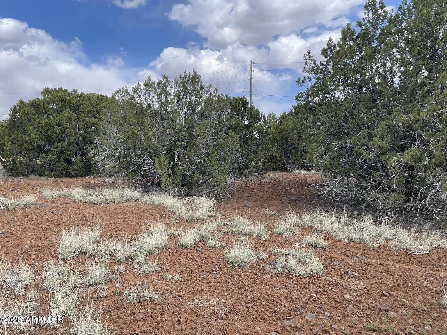 WHITE MOUNTAIN LAKE ESTATES - Land