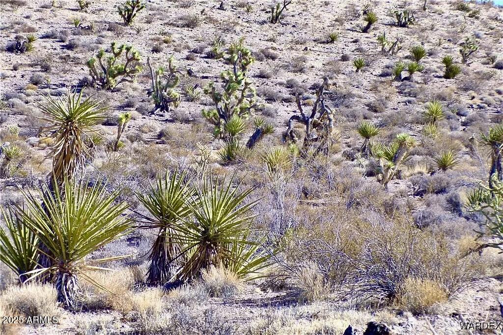 Own your slice of the Arizona desert with this 1.25-acre lot just 3 miles from the heart of Meadview. Close to local conveniences like shops, dining, fuel, and a post office, yet far enough to enjoy peace and privacy. With no HOA and no building restrictions, you can build your dream home, park your RV, or hold as a future investment. The property offers easy access to Lake Mead's boat docks and the Grand Canyon West Rim, making it a prime location for outdoor lovers. Enjoy breathtaking desert views, stunning sunsets, and endless possibilities in this growing region.
