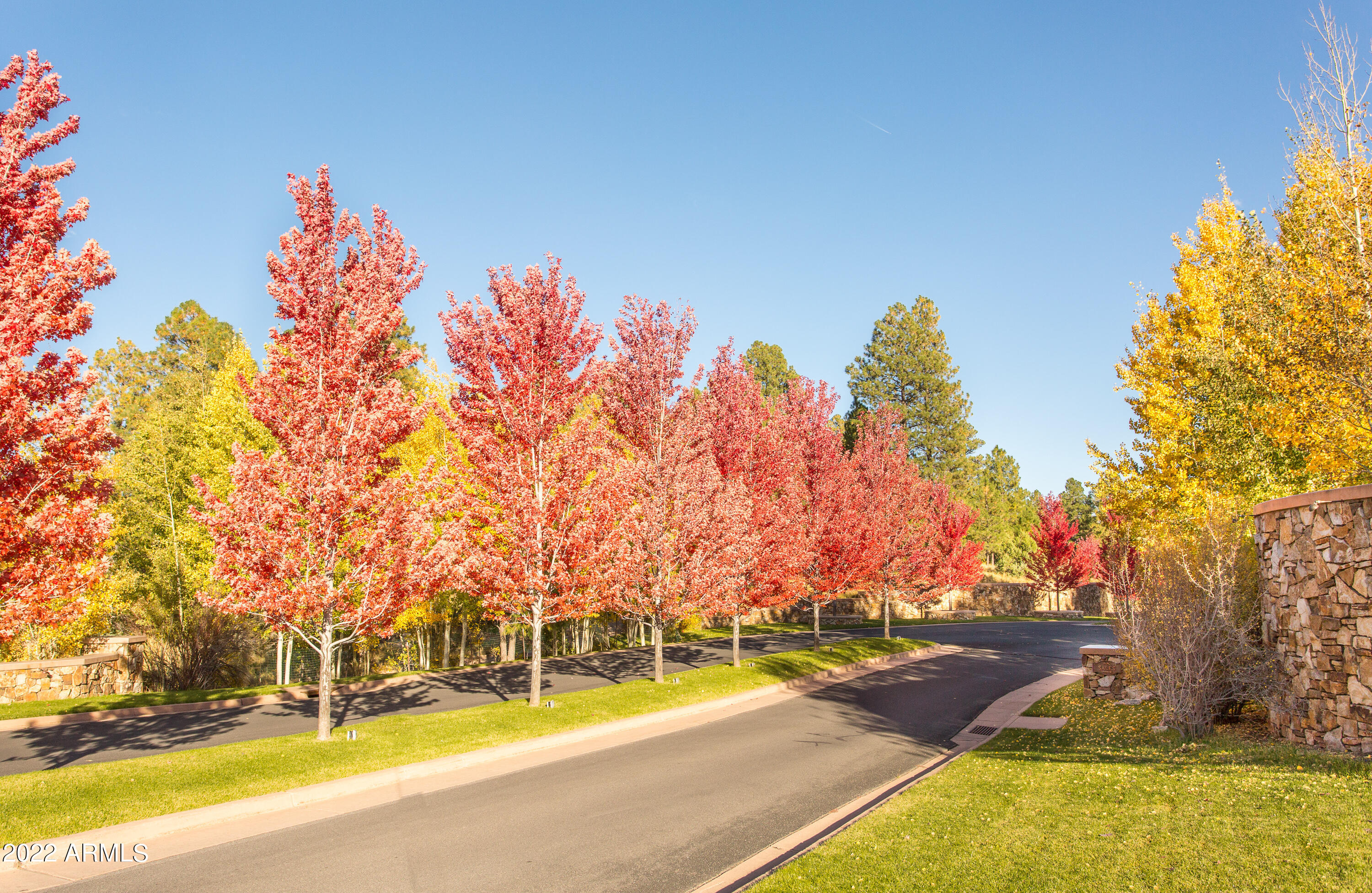 Pine Canyon - Residential