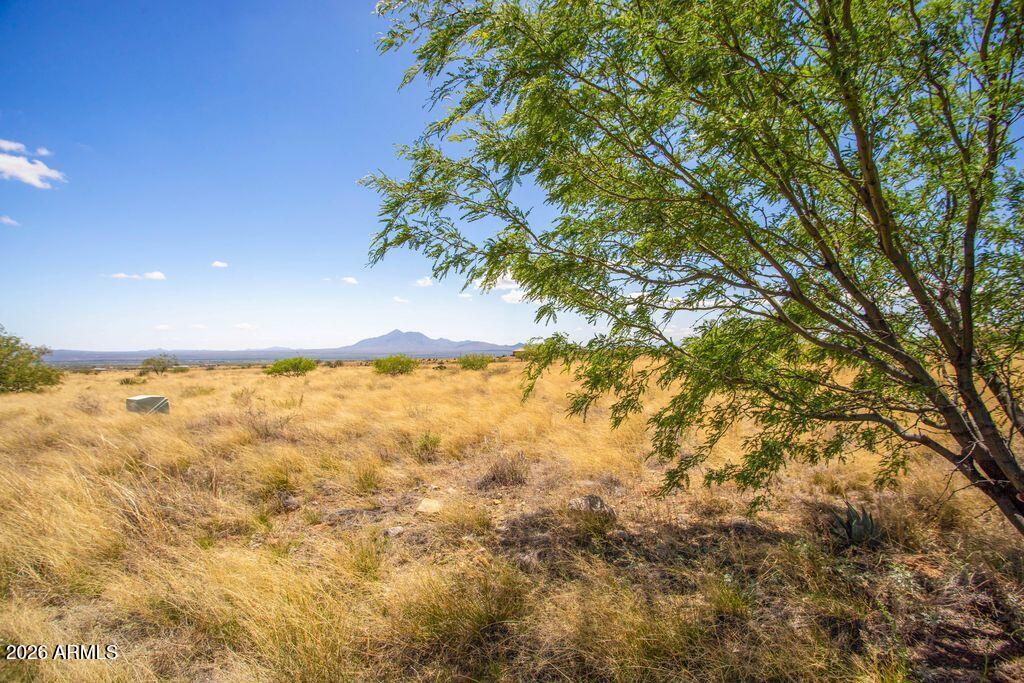 WILD HORSE 2 - Land