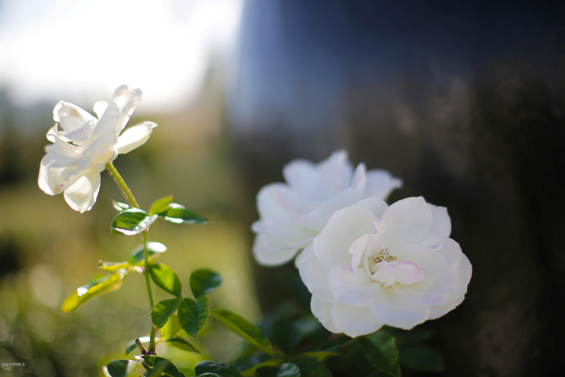 Provided at escrow - Residential