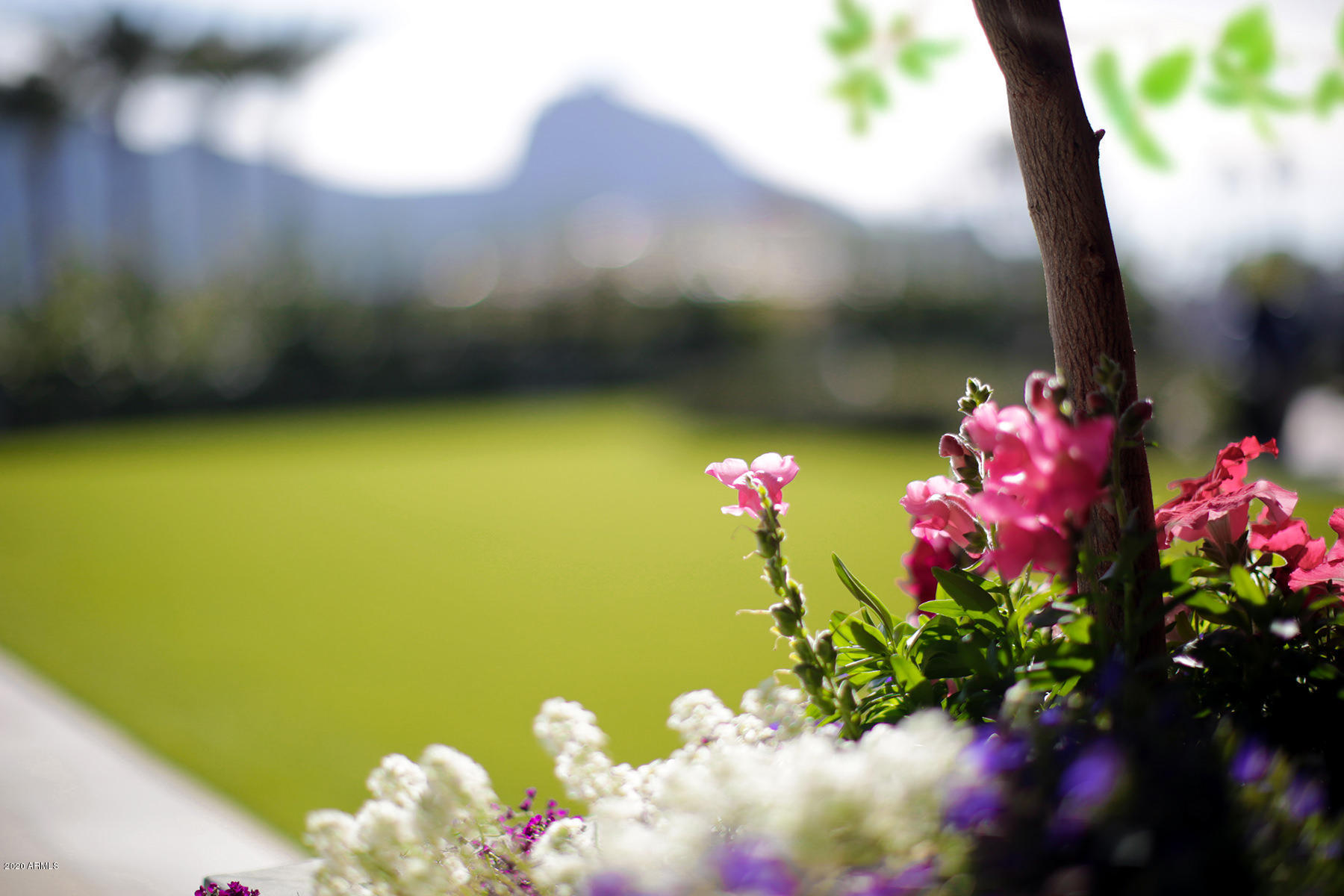 Provided at escrow - Residential