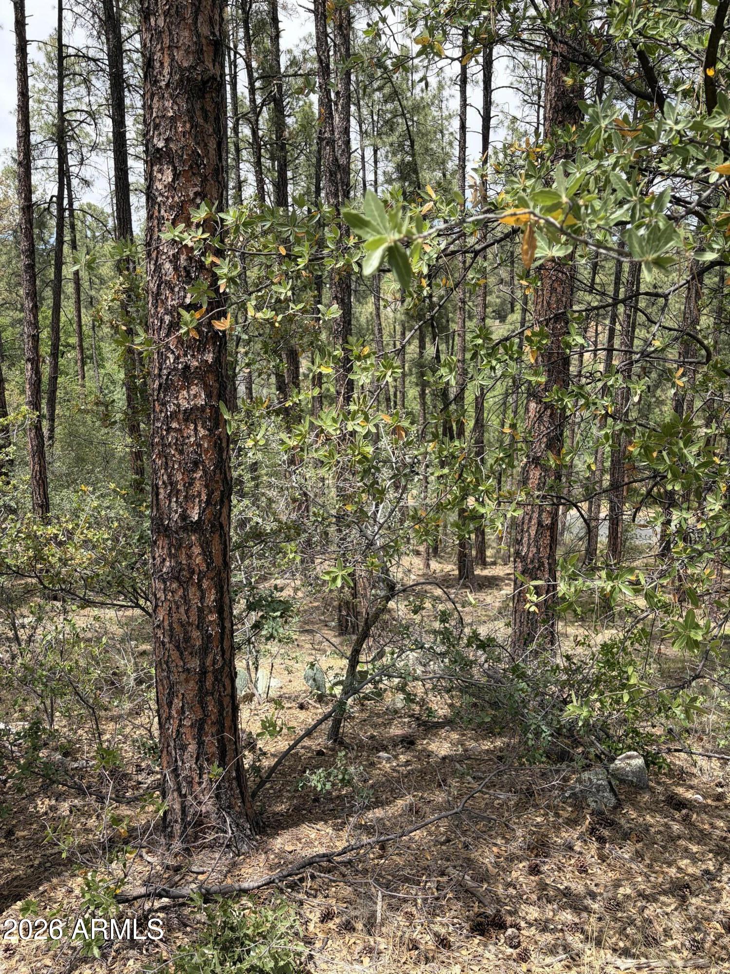 HASSAYAMPA MTN CLUB PLAT F BLK F - Land