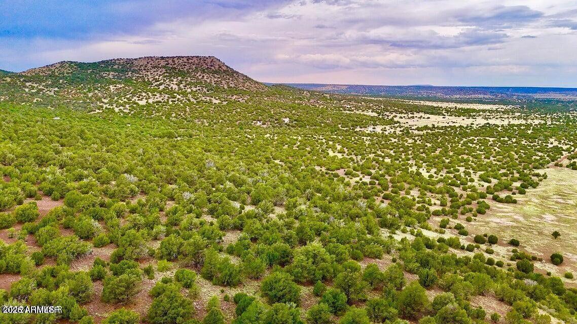 Dutch Mountain - Land