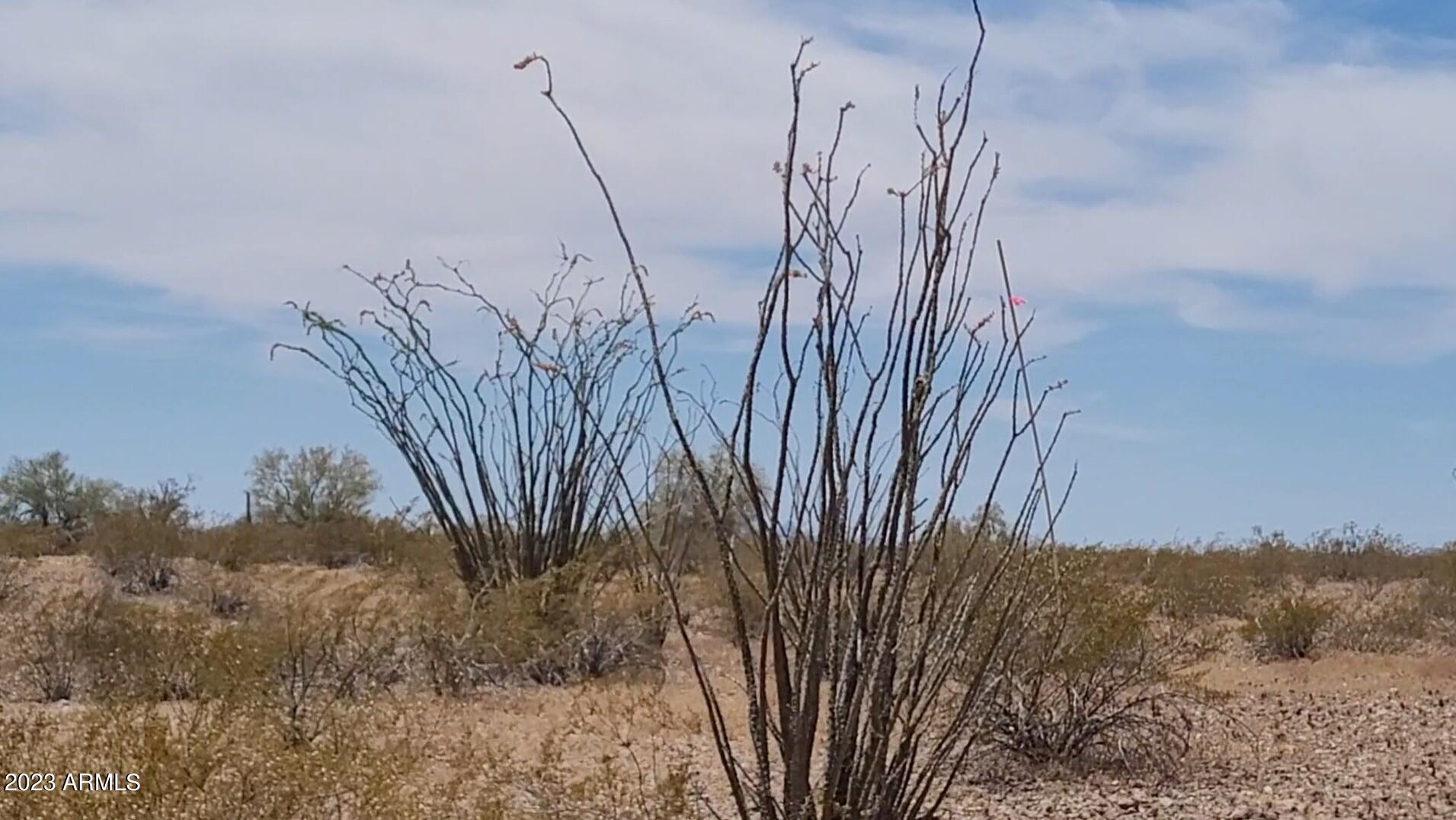 BUCKEYE RANCHOS 2 - Land