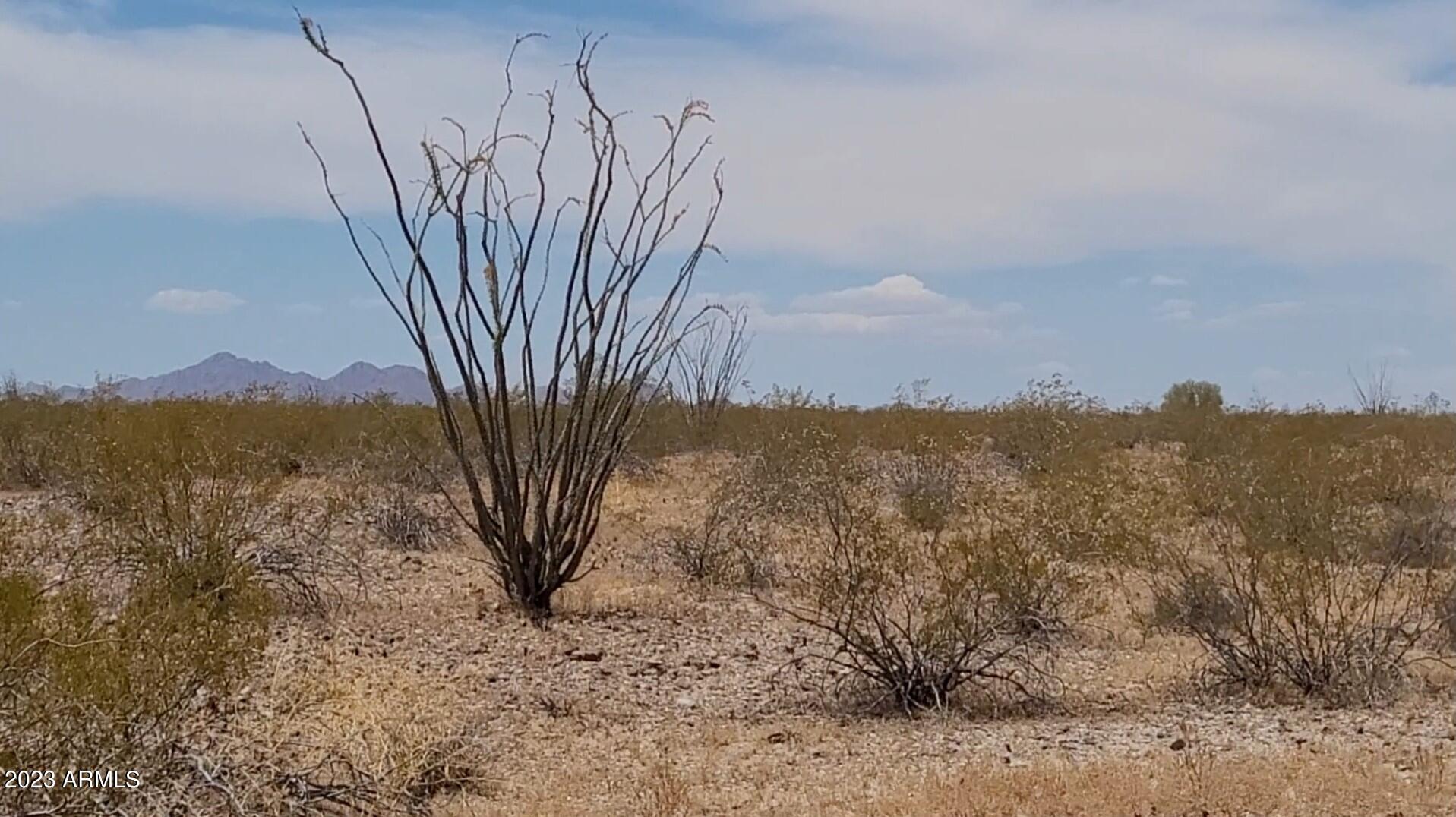 BUCKEYE RANCHOS 2 - Land