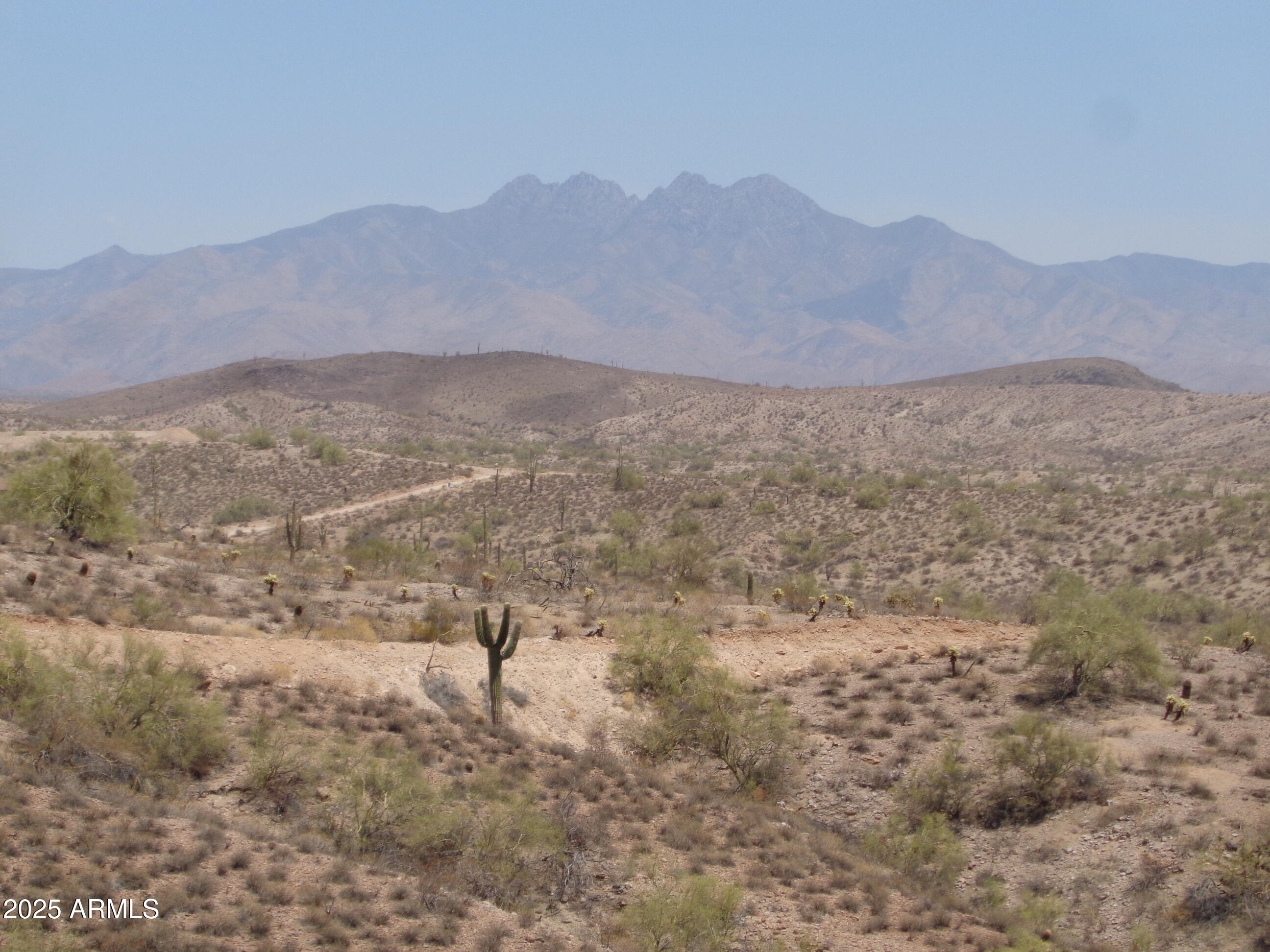 GOLDFIELD RANCH PHASE 1 SURVEY - Land