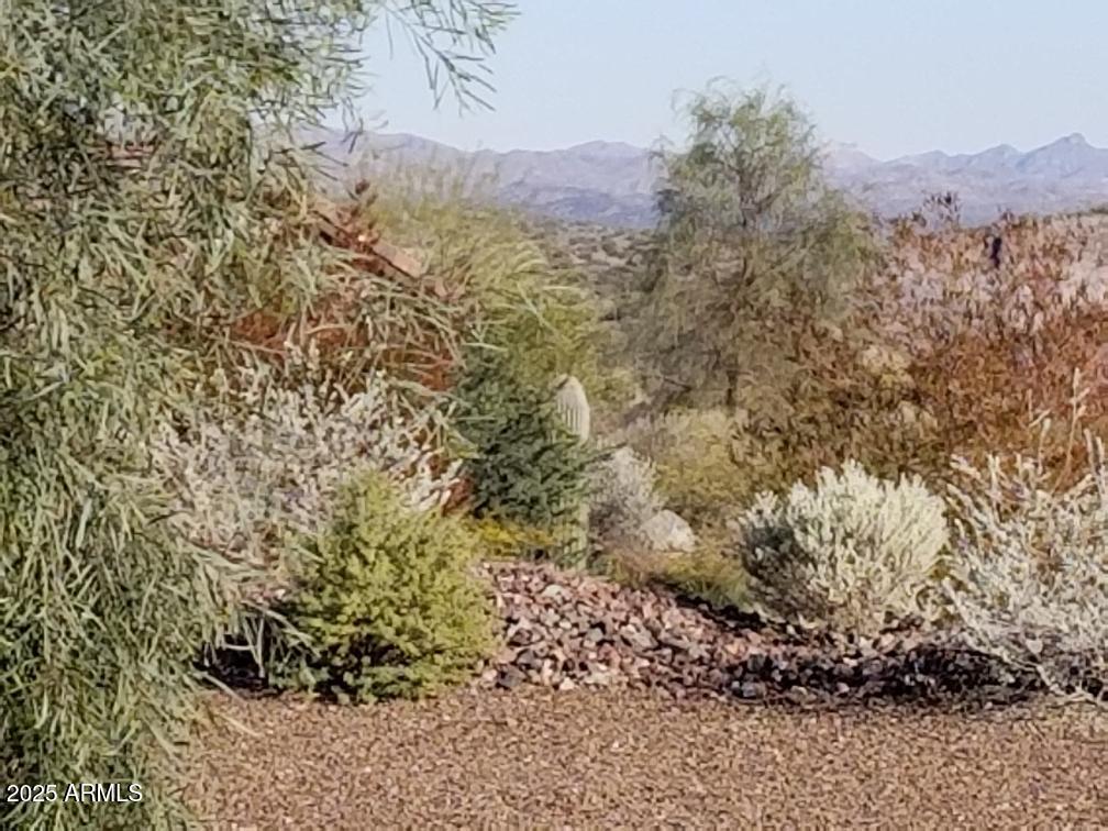 WICKENBURG RANCH - Residential