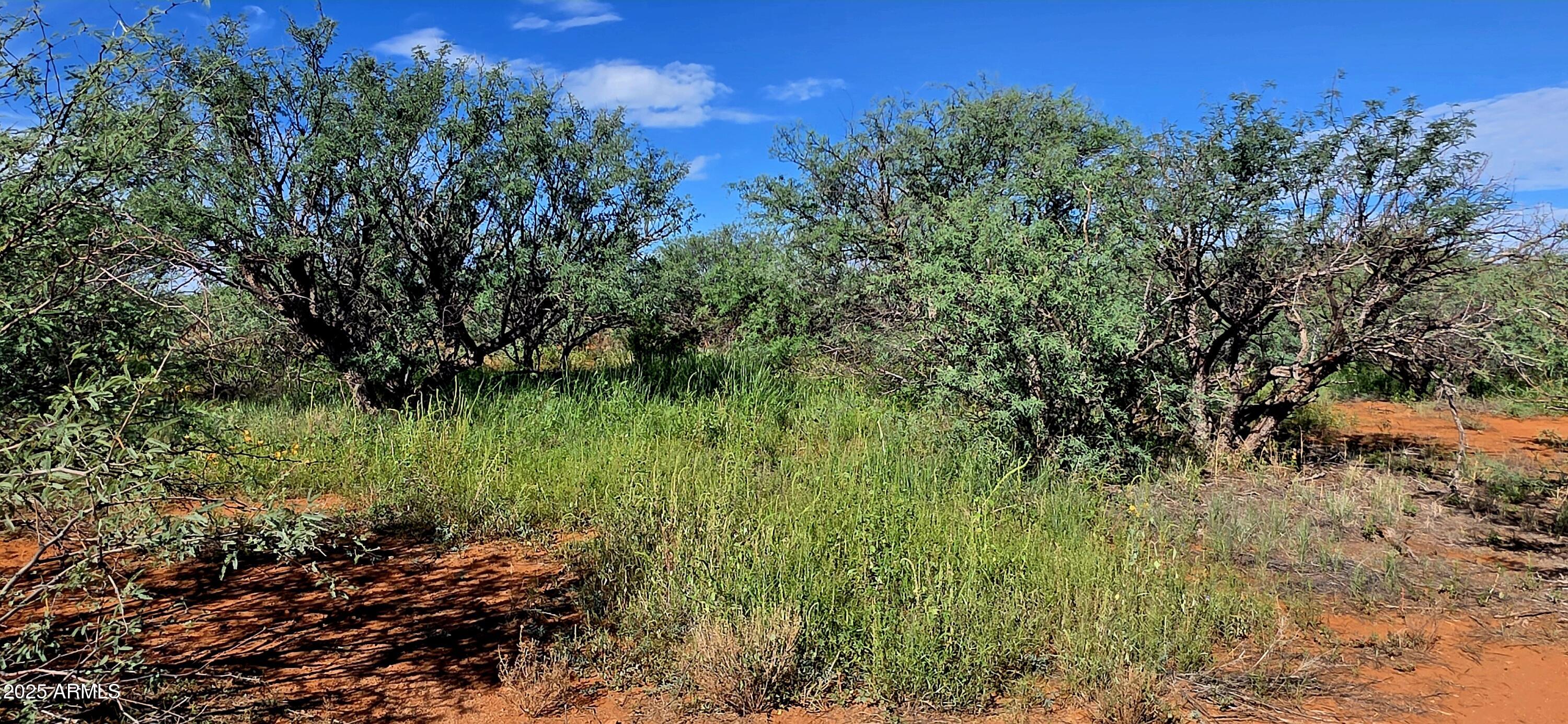 THE SAN IGNACIO BABOCOMARI LAND GRANT - Land