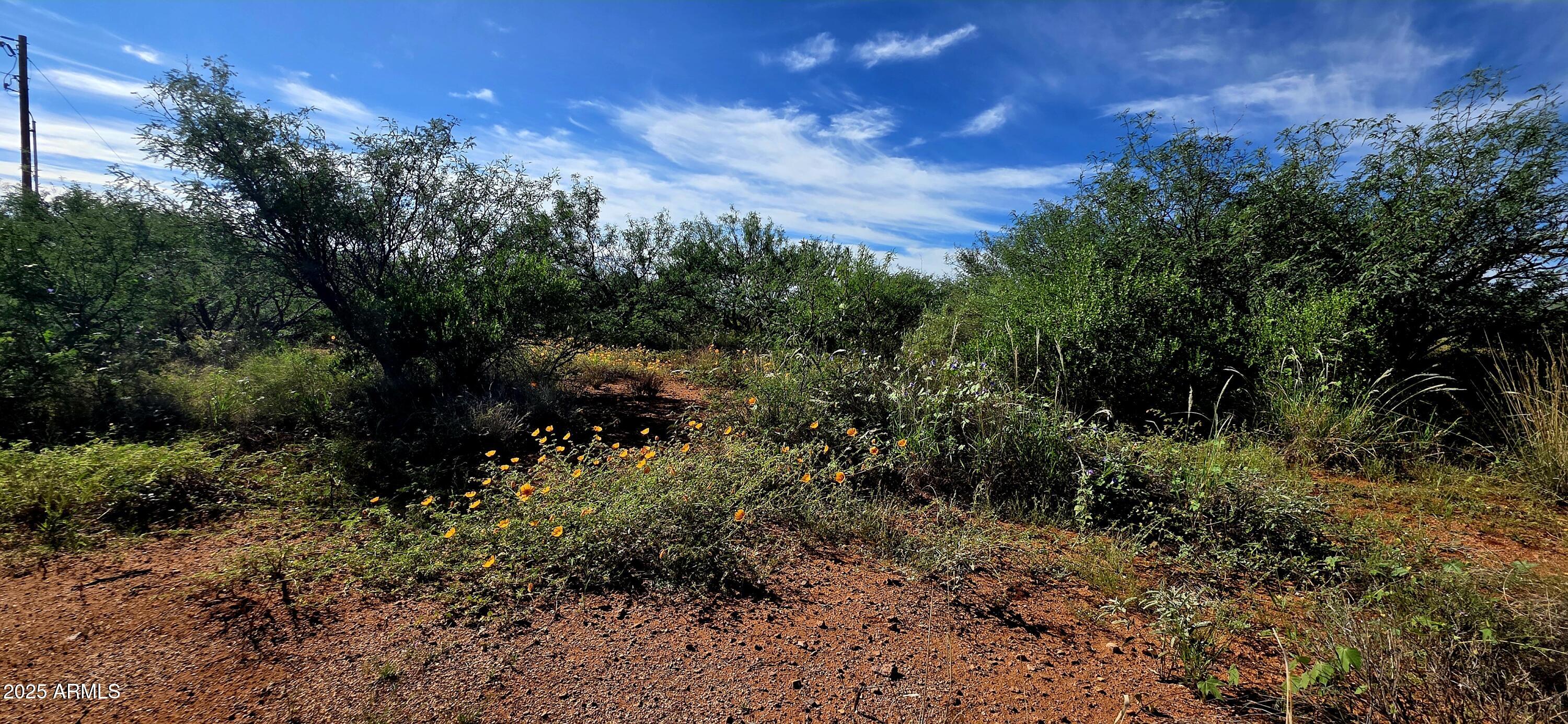 THE SAN IGNACIO BABOCOMARI LAND GRANT - Land