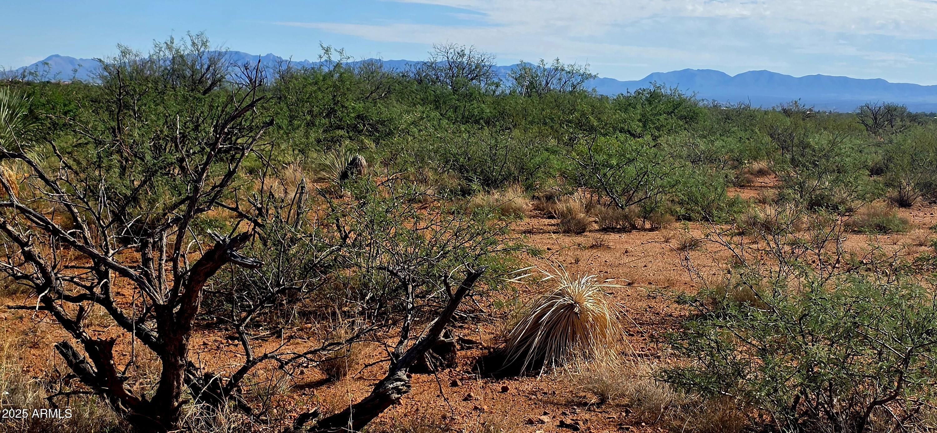 THE SAN IGNACIO BABOCOMARI LAND GRANT - Land