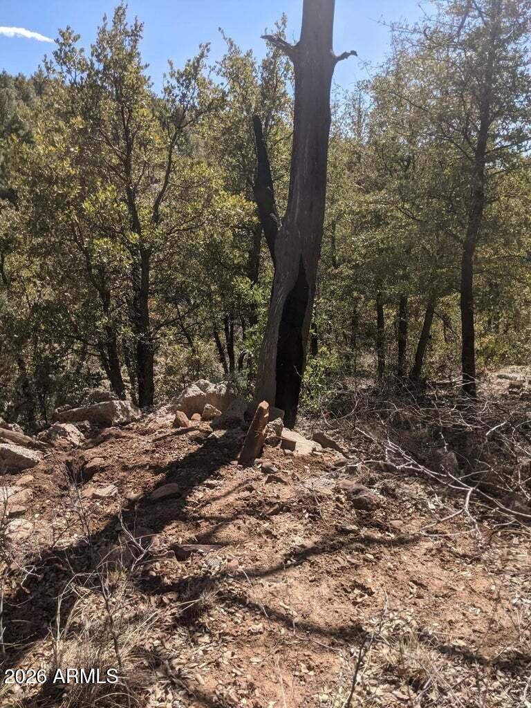 BONITA CREEK RANCH 2 - Land