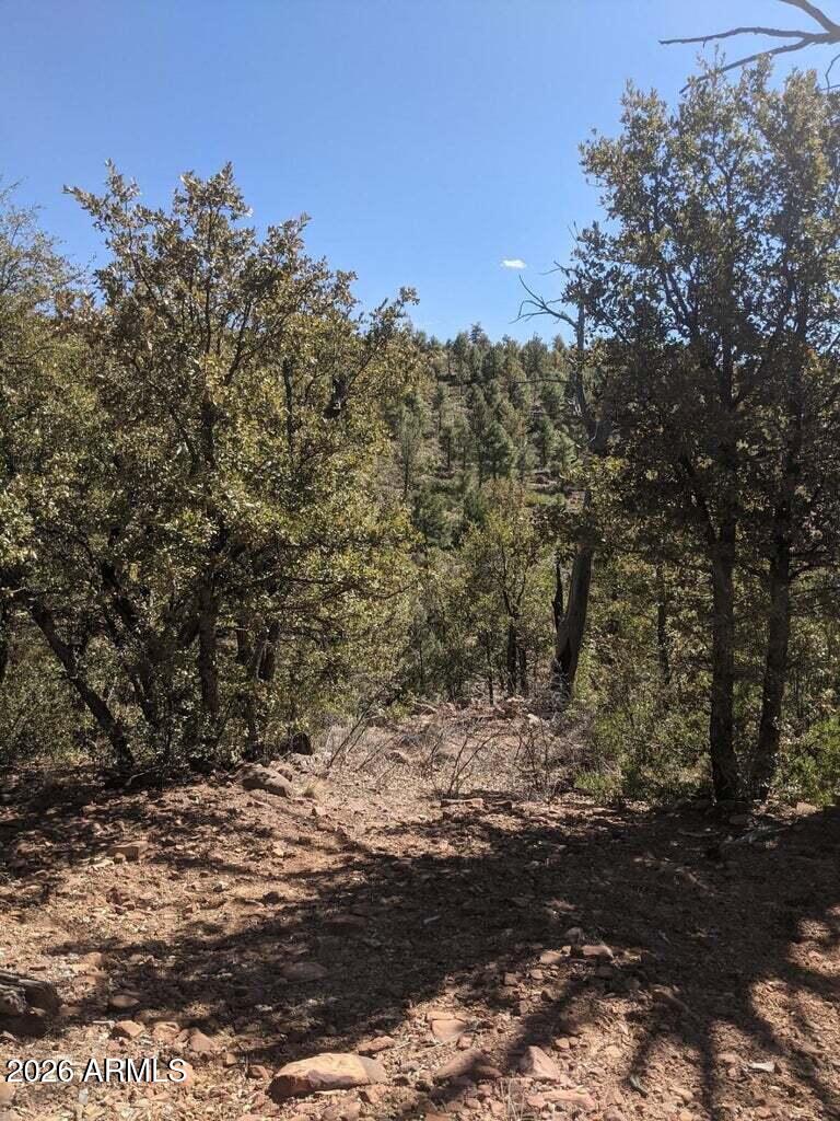 BONITA CREEK RANCH 2 - Land
