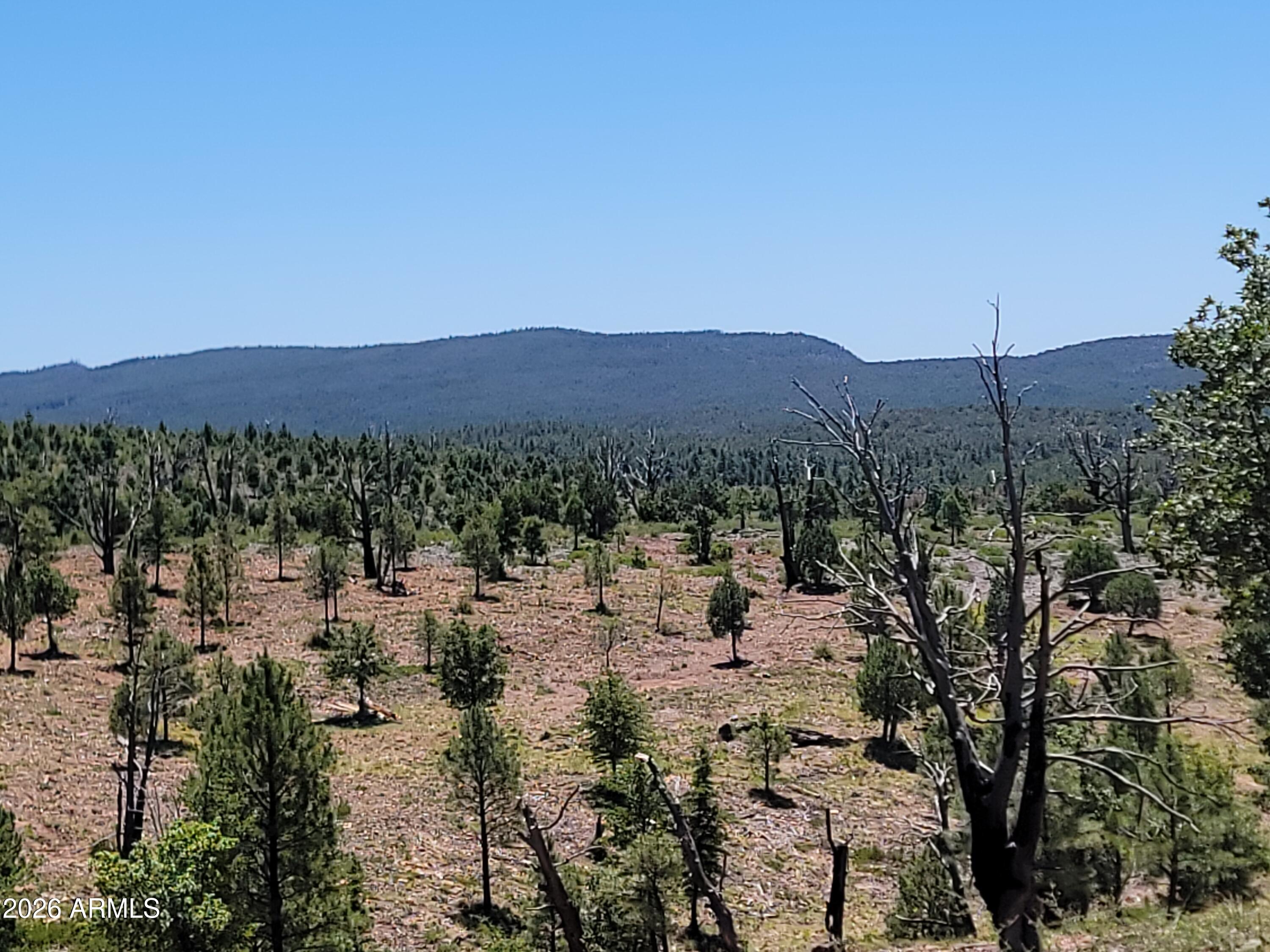 BONITA CREEK RANCH 2 - Land