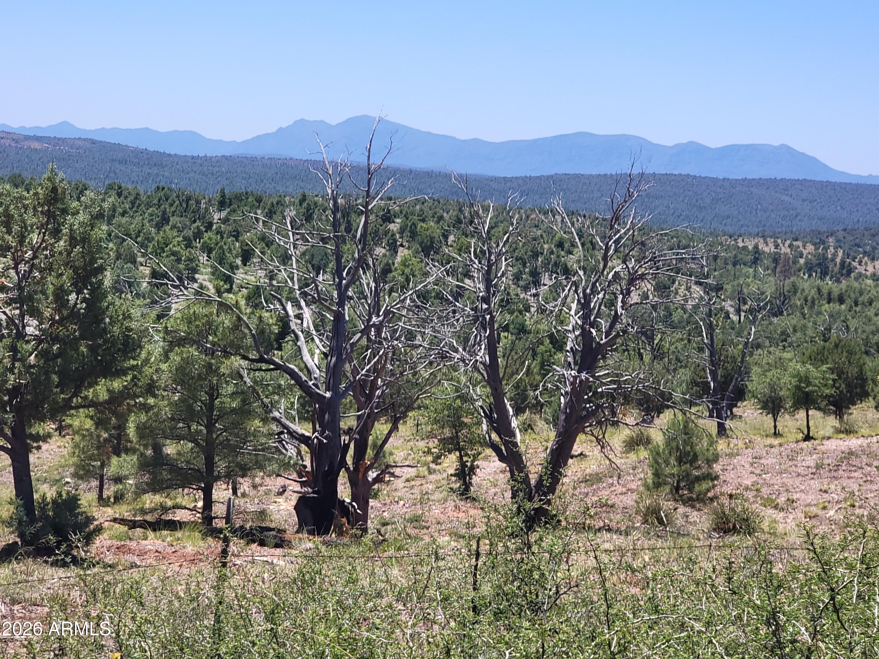Scenic 1.99 Acres in Bonita Creek - Two Buildable Lots in Tonto National Forest
Escape to the beauty of nature with this rare 1.99-acre property nestled in the highly sought-after Bonita Creek area, just four miles down Control Road outside of Whispering Pines. Surrounded by the serene landscape of Tonto National Forest, this unique offering includes two buildable lots, providing flexibility for your dream home, a guest house, or investment opportunities.
Enjoy breathtaking views in every direction, with open skies, and the peaceful sounds of nature all around you. The property sits along the seasonal Bonita Creek, adding charm and character to the land, especially during the flowing months.
Convenience meets seclusion with water and electricity available at the curb making it easier to bring your vision to life without sacrificing the tranquility of a forest retreat.
Whether you're looking to build a private getaway, full-time residence, this land offers the perfect blend of accessibility, natural beauty, and development potential.
Key Features:
1.99 acres of vacant land
Two buildable lots
Located in Bonita Creek area
4 miles down Control Road from Whispering Pines
Surrounded by Tonto National Forest
Seasonal creek frontage
Water & electricity to the curb
Stunning panoramic views
