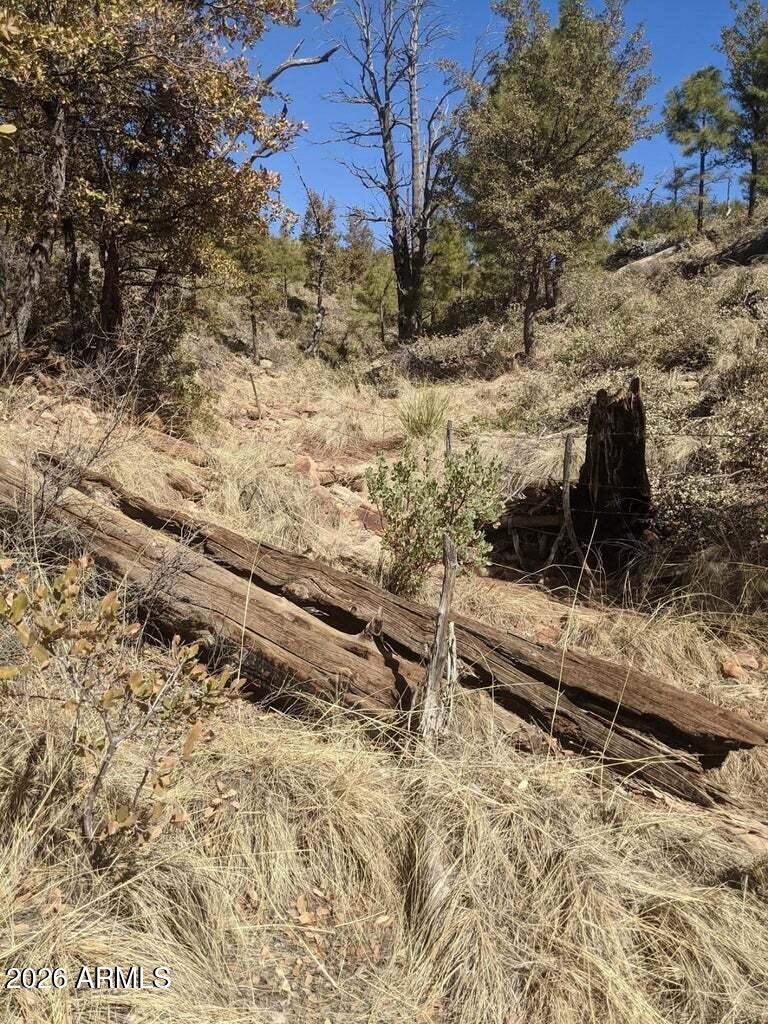 BONITA CREEK RANCH 2 - Land