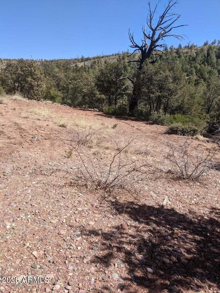 BONITA CREEK RANCH 2 - Land