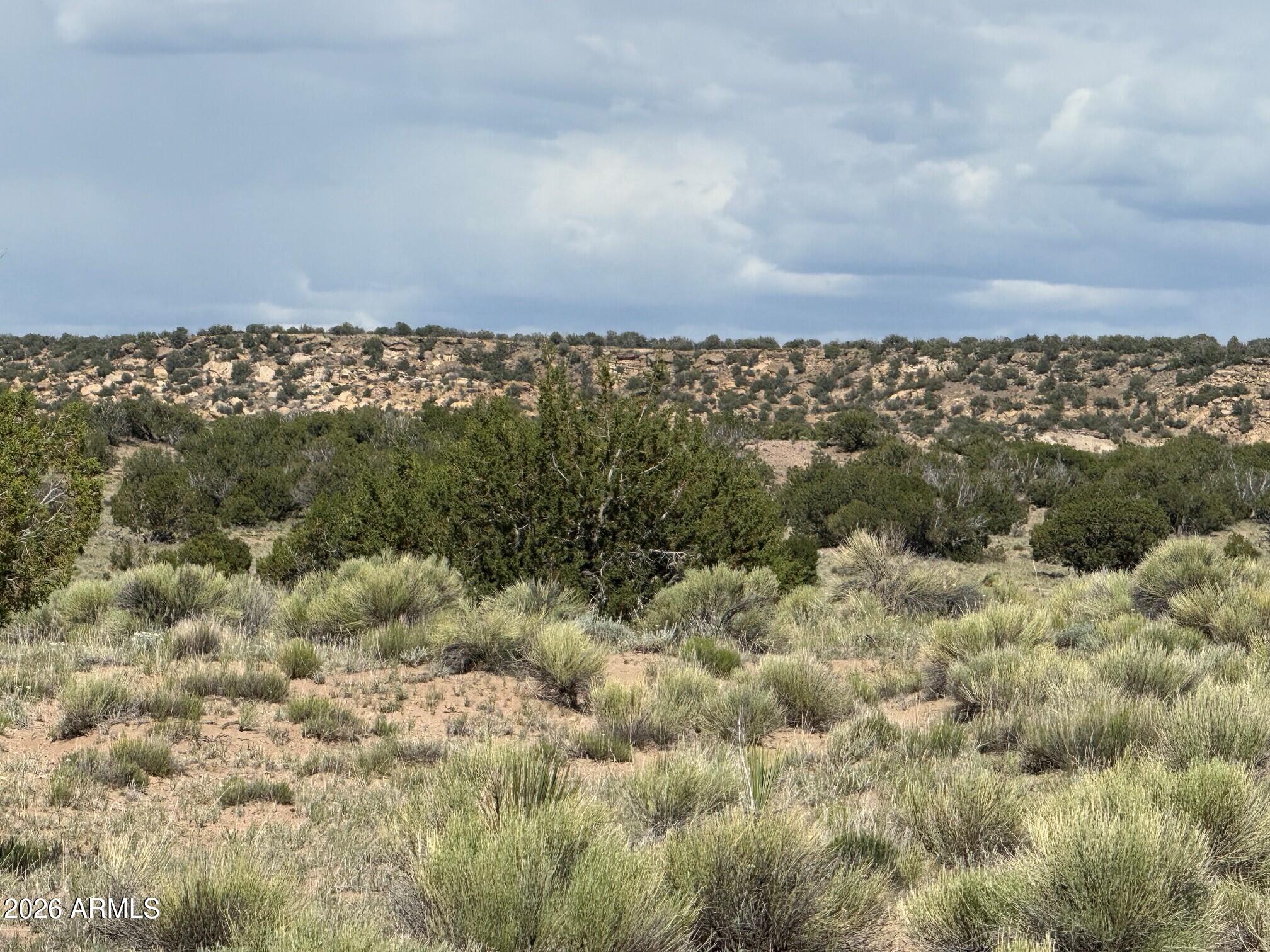 WOODLAND VALLEY RANCH UNIT 6 - Land
