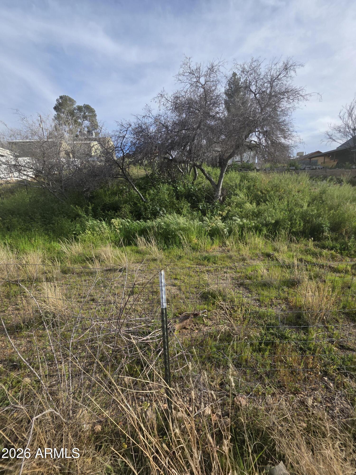 GLOBE TOWNSITE - Land