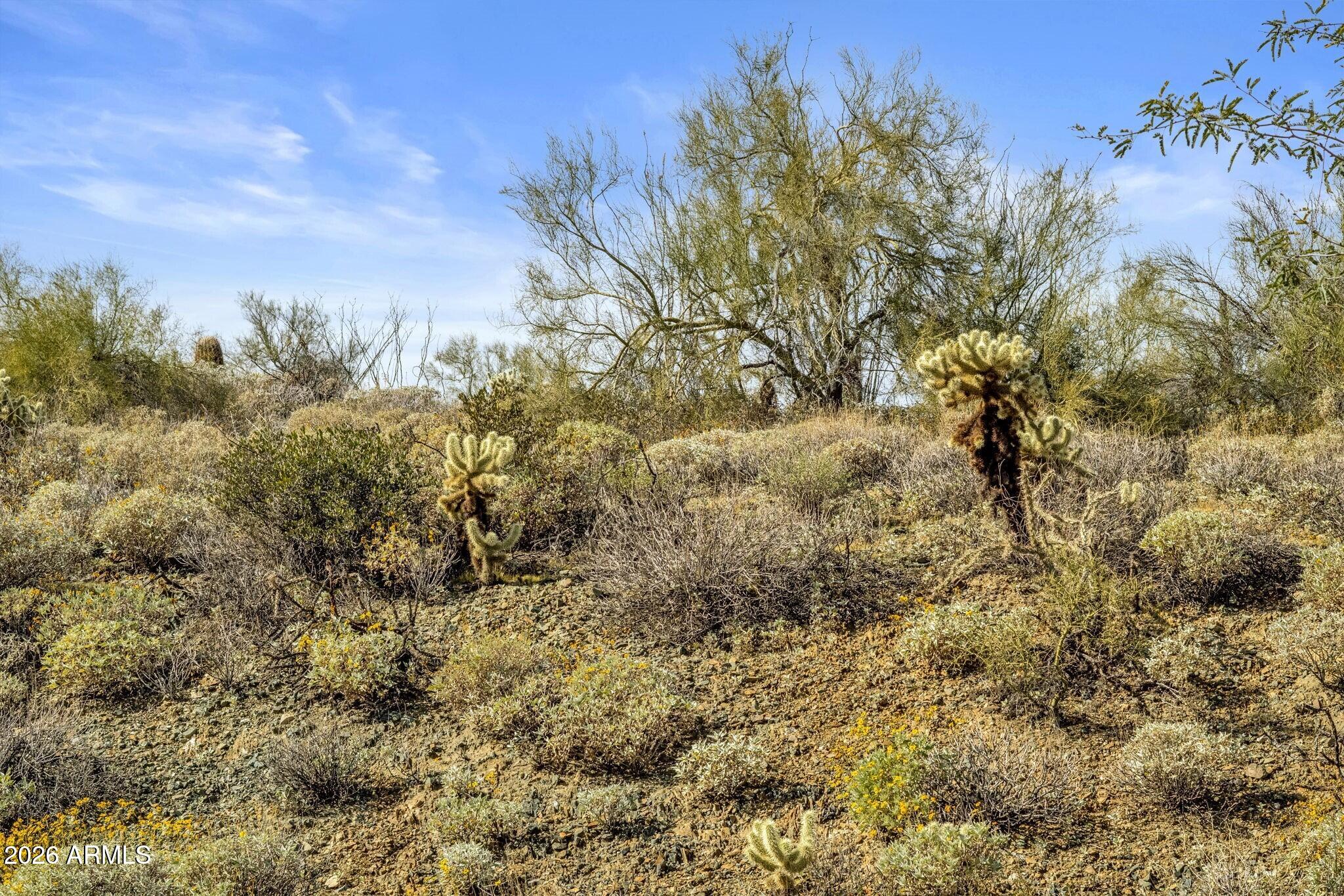 EAGLES NEST PARCEL 6 - Land