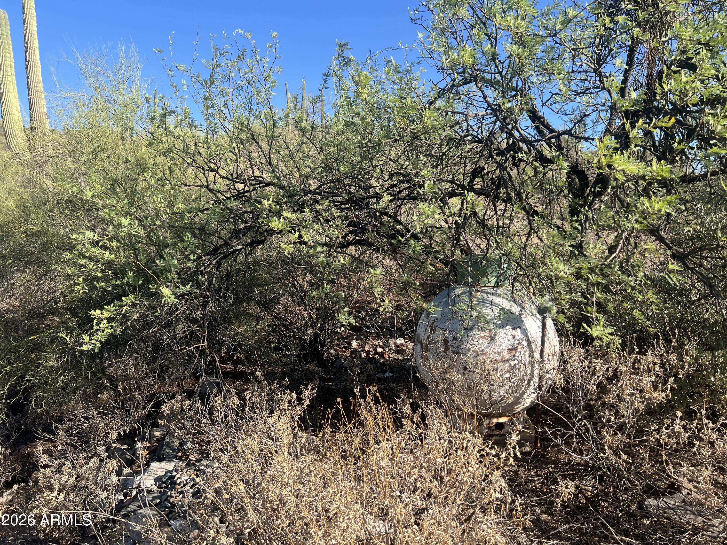 BLACK CANYON VISTA - Residential