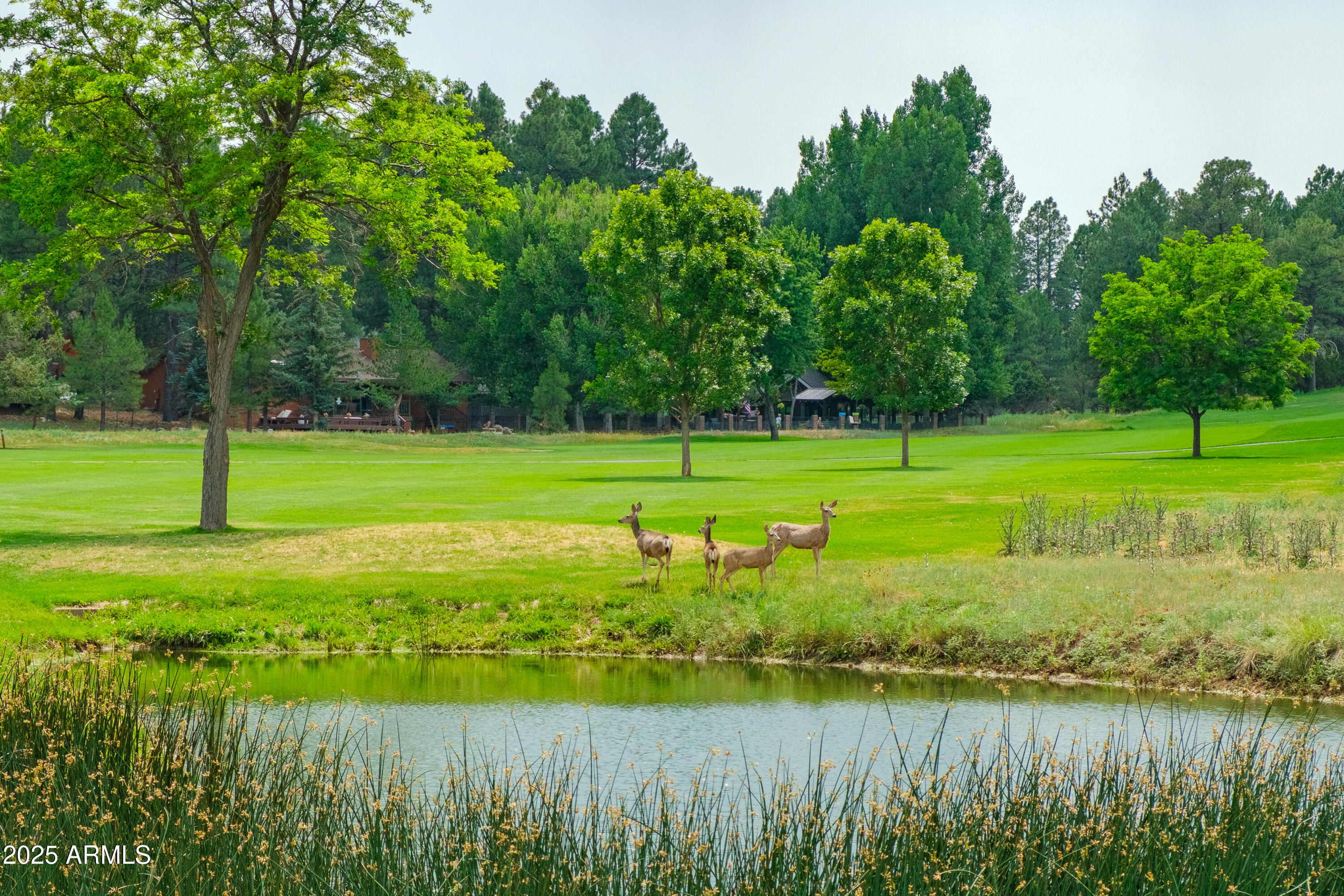 CONTINENTAL LAKESIDE ACRES - Residential