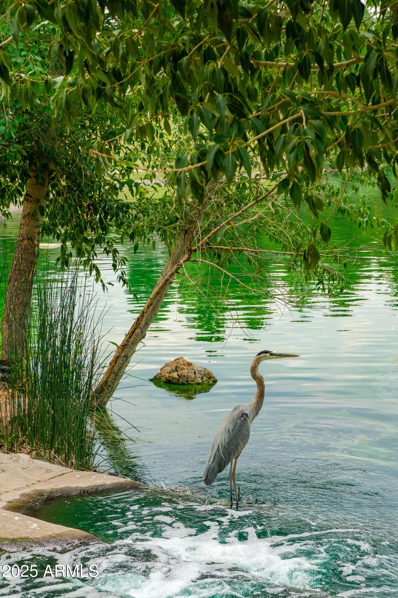 CONTINENTAL LAKESIDE ACRES - Residential