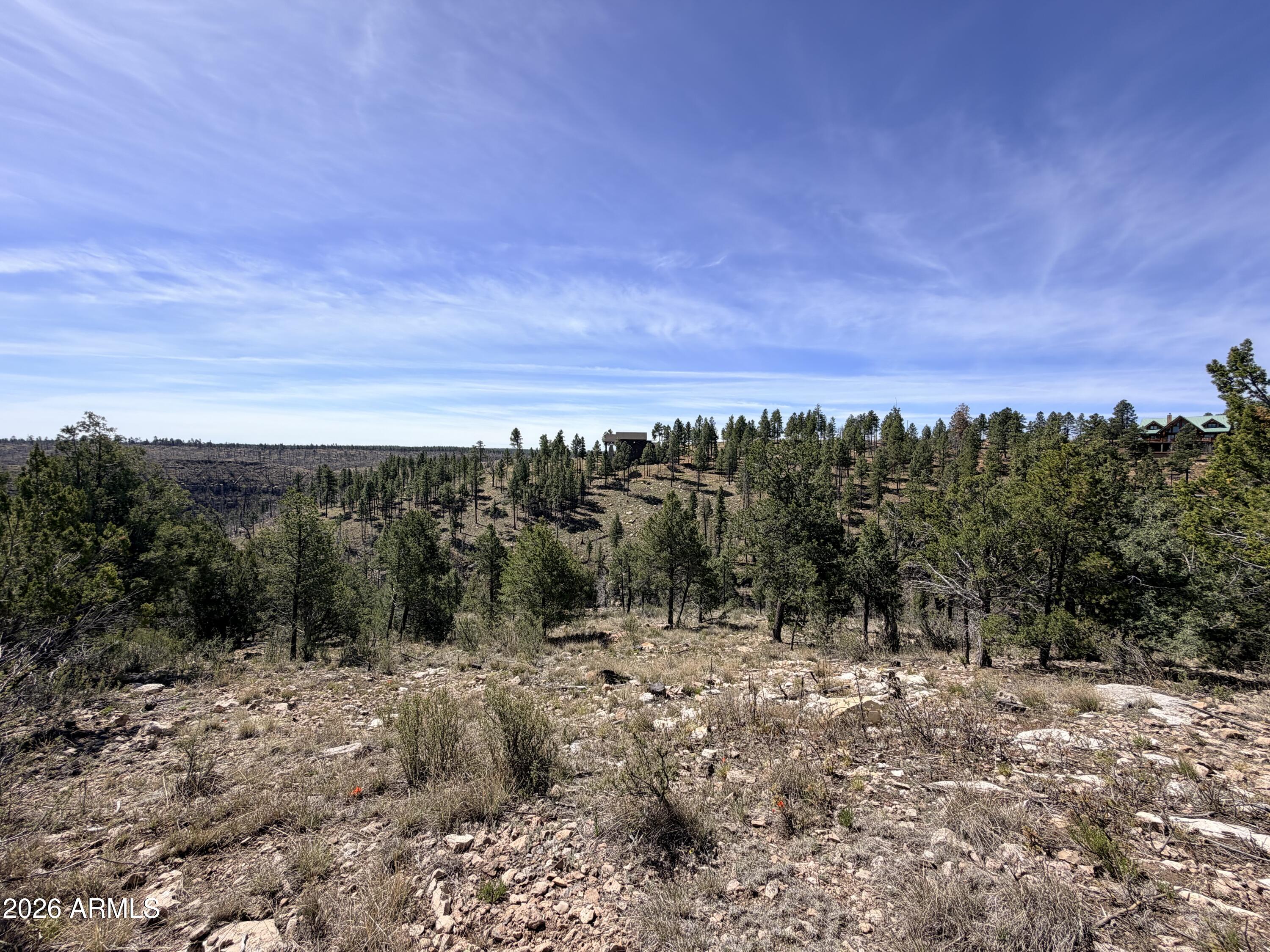 AMAZING VIEW ...Looking to build your future home and have a canyon view, than this one is for you.  It offers 3.30 acres . Lot has a nice level spot you could build on and then slopes down to offer the view.  There is water and electricity to the lot line, septic needs installed. Don't miss the opportunity to watch the Big horn sheep and elk come by, and the beautiful mature trees.