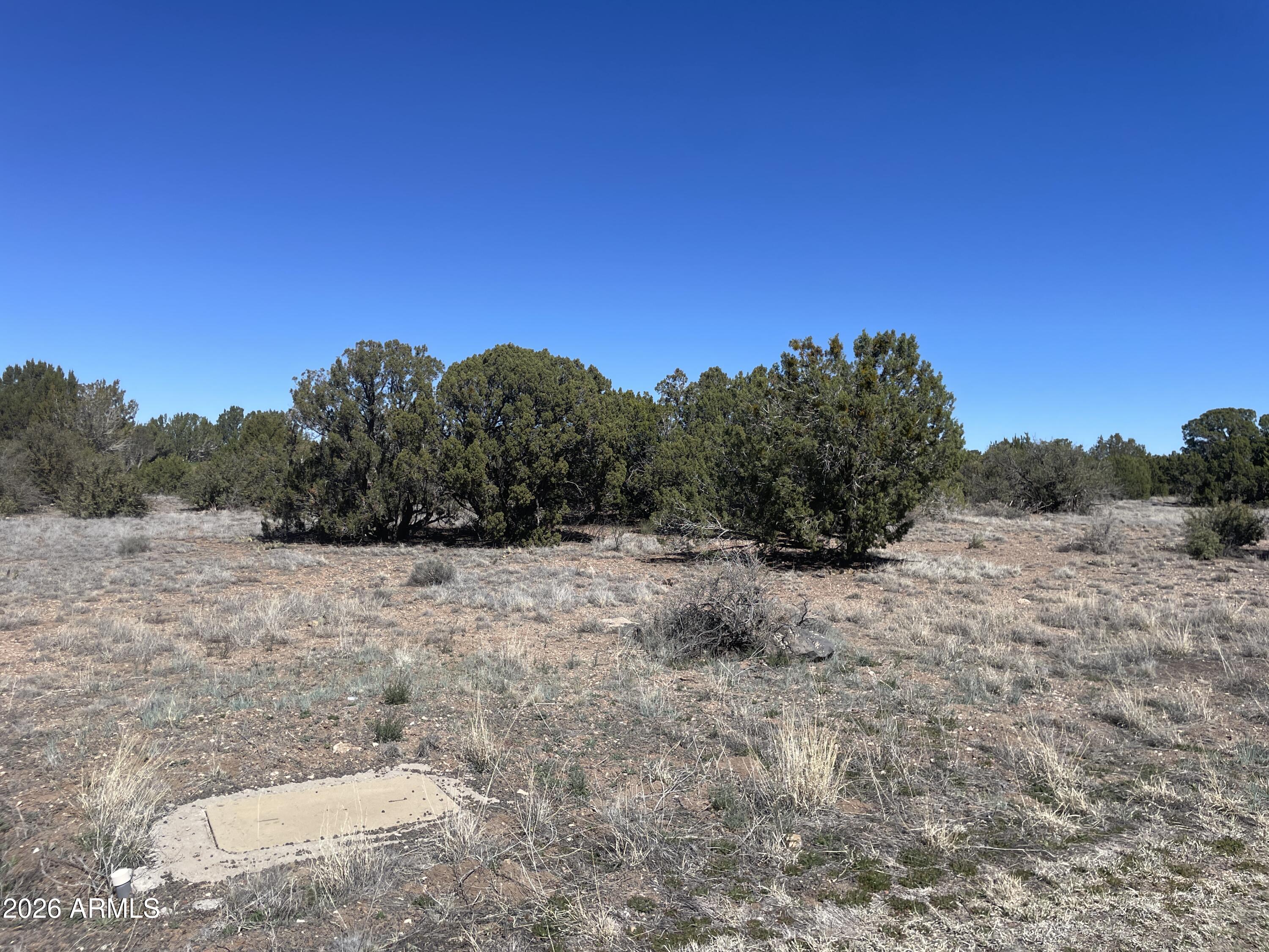 WHITE MOUNTAIN LAKES UNIT 1 - Land