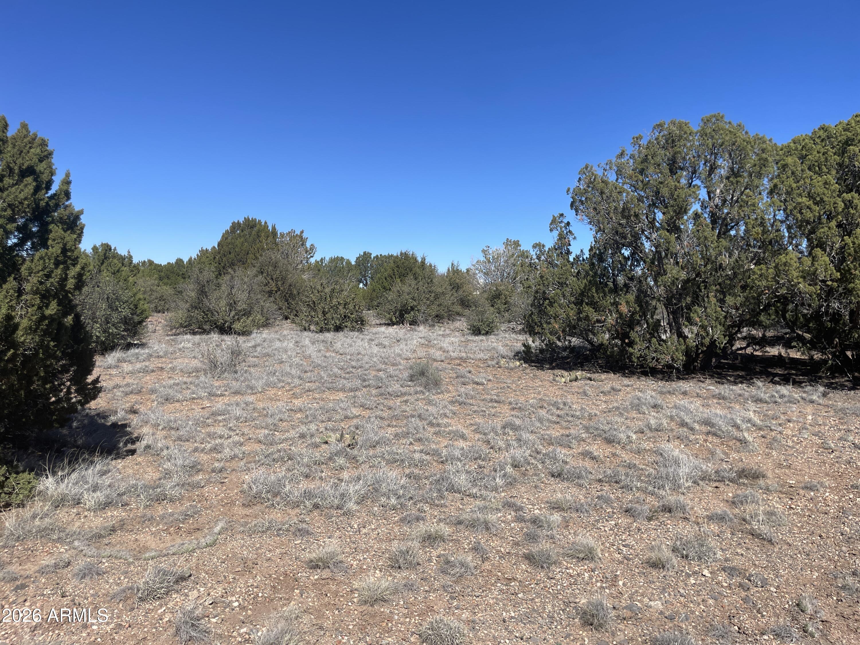 WHITE MOUNTAIN LAKES UNIT 1 - Land