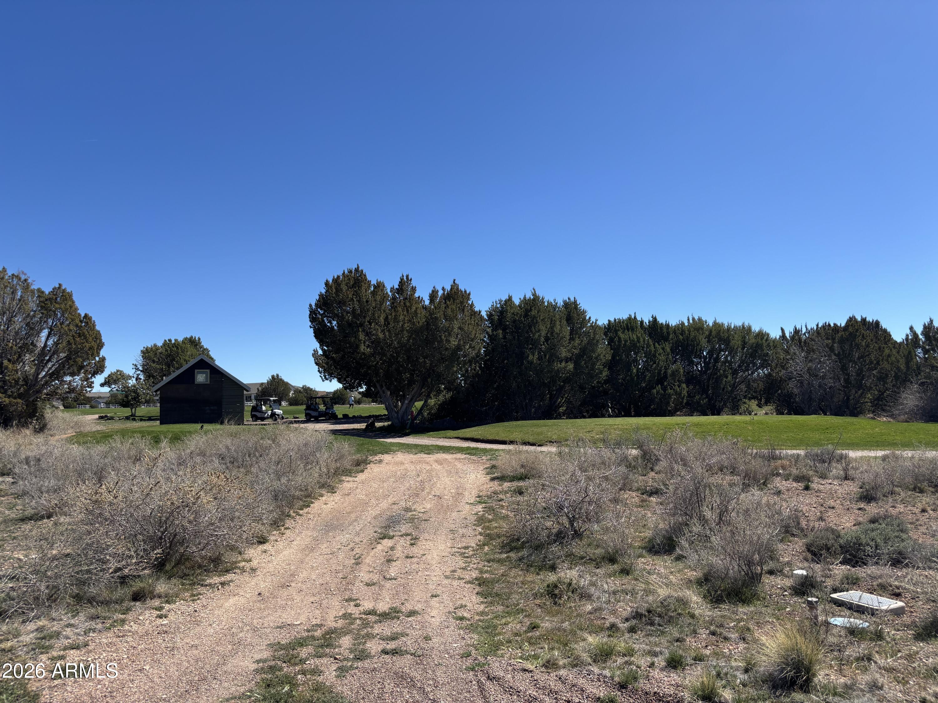 WHITE MOUNTAIN LAKES UNIT 1 - Land