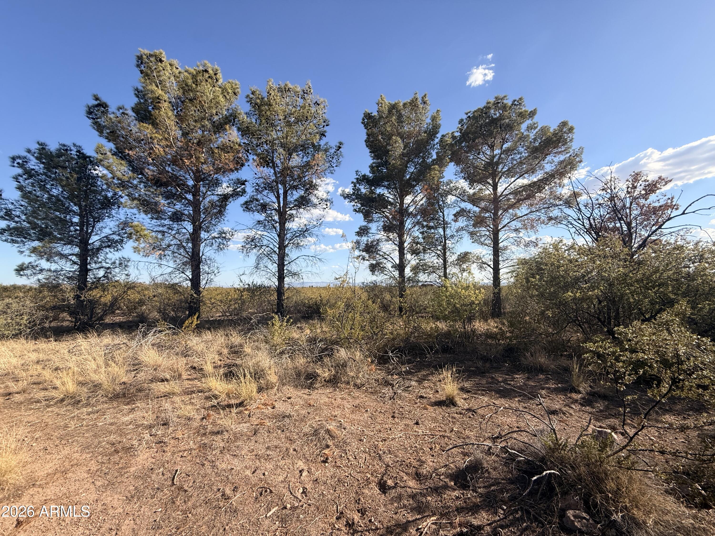 VALLEY SPRINGS ESTATES 2 - Land
