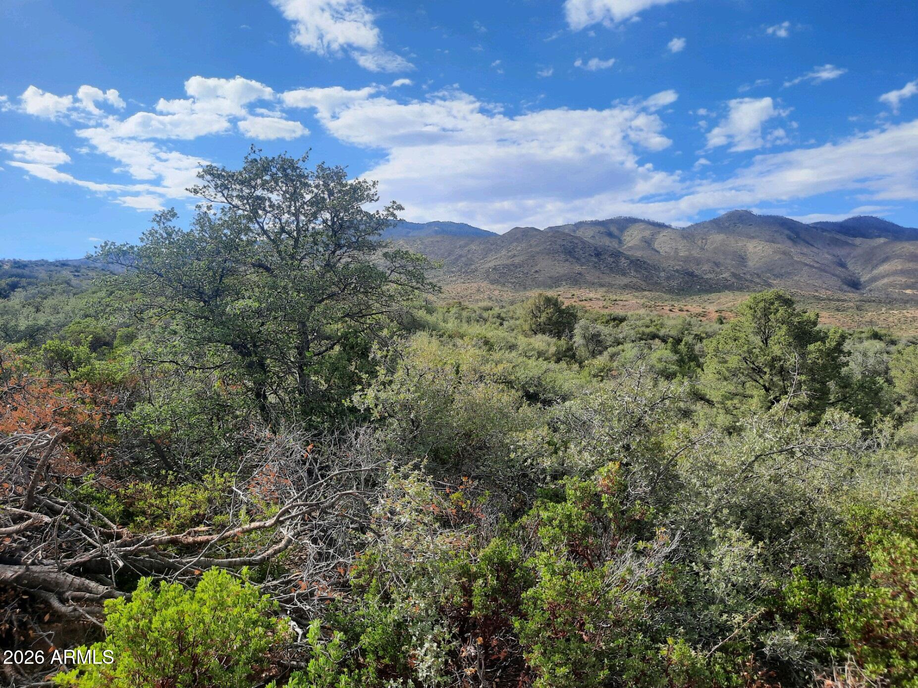 El Capitan - Land