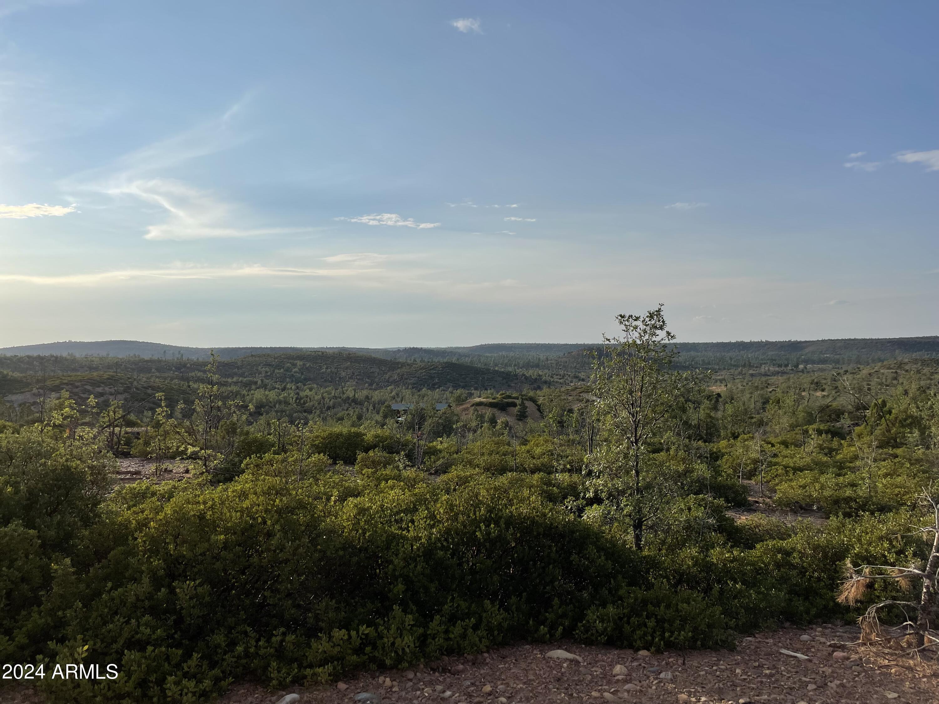 251 Acres total. Lots of potential. There is currently a well including water storage tank and electric. Owners currently have master plan layout of 101 residential lots.