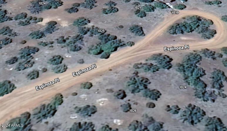 WHITE MOUNTAIN LAKES UNIT 9 - Land