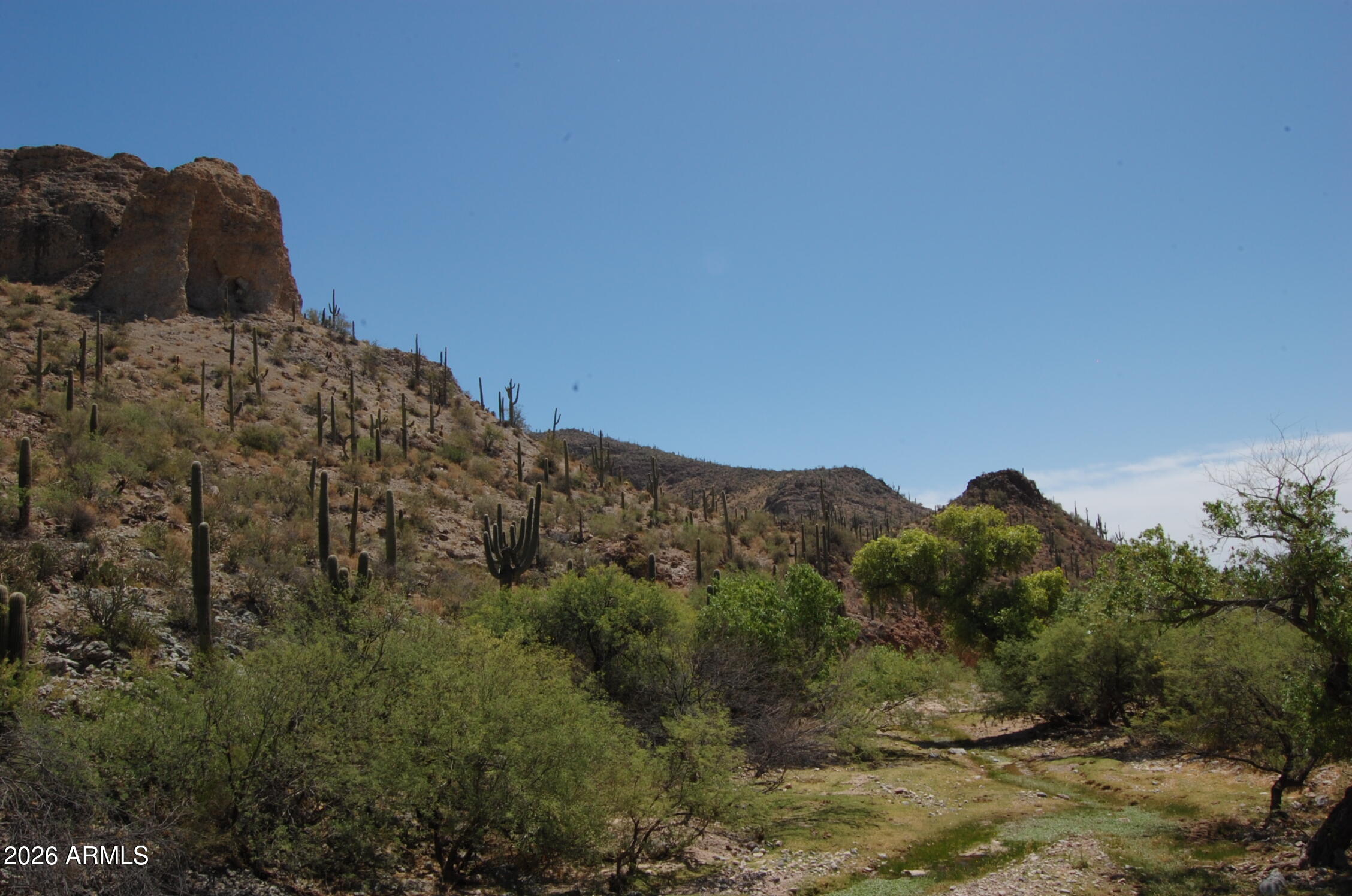 Pleasant Country Ranches - Land