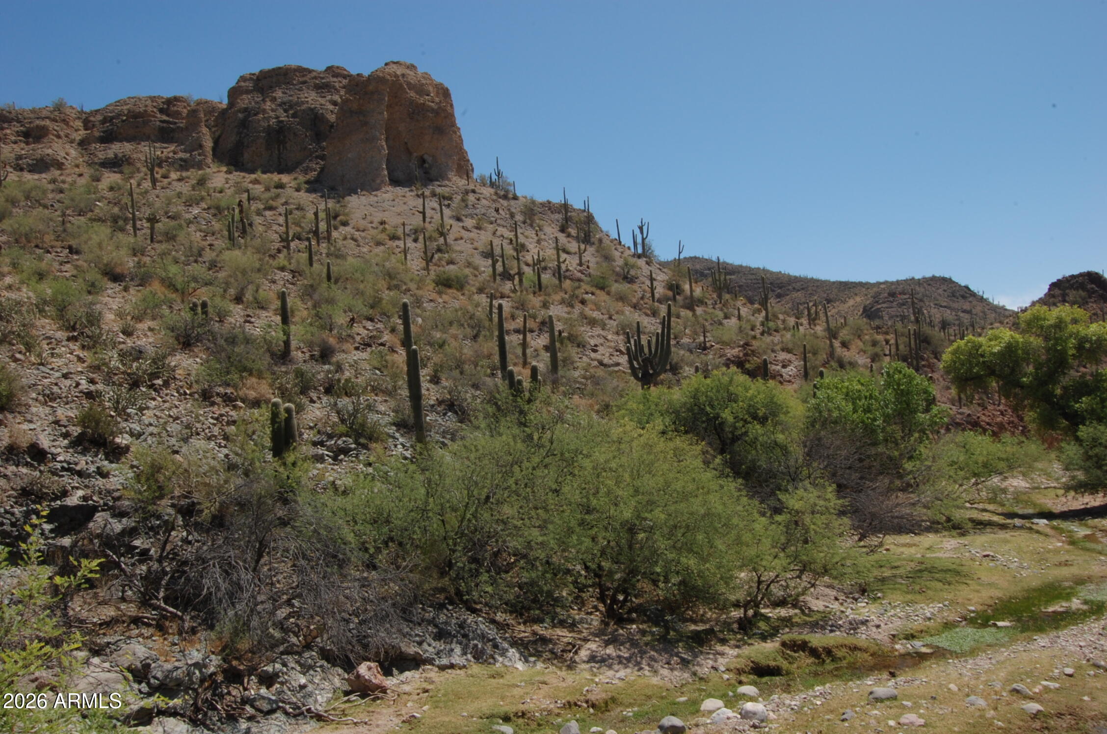 Pleasant Country Ranches - Land