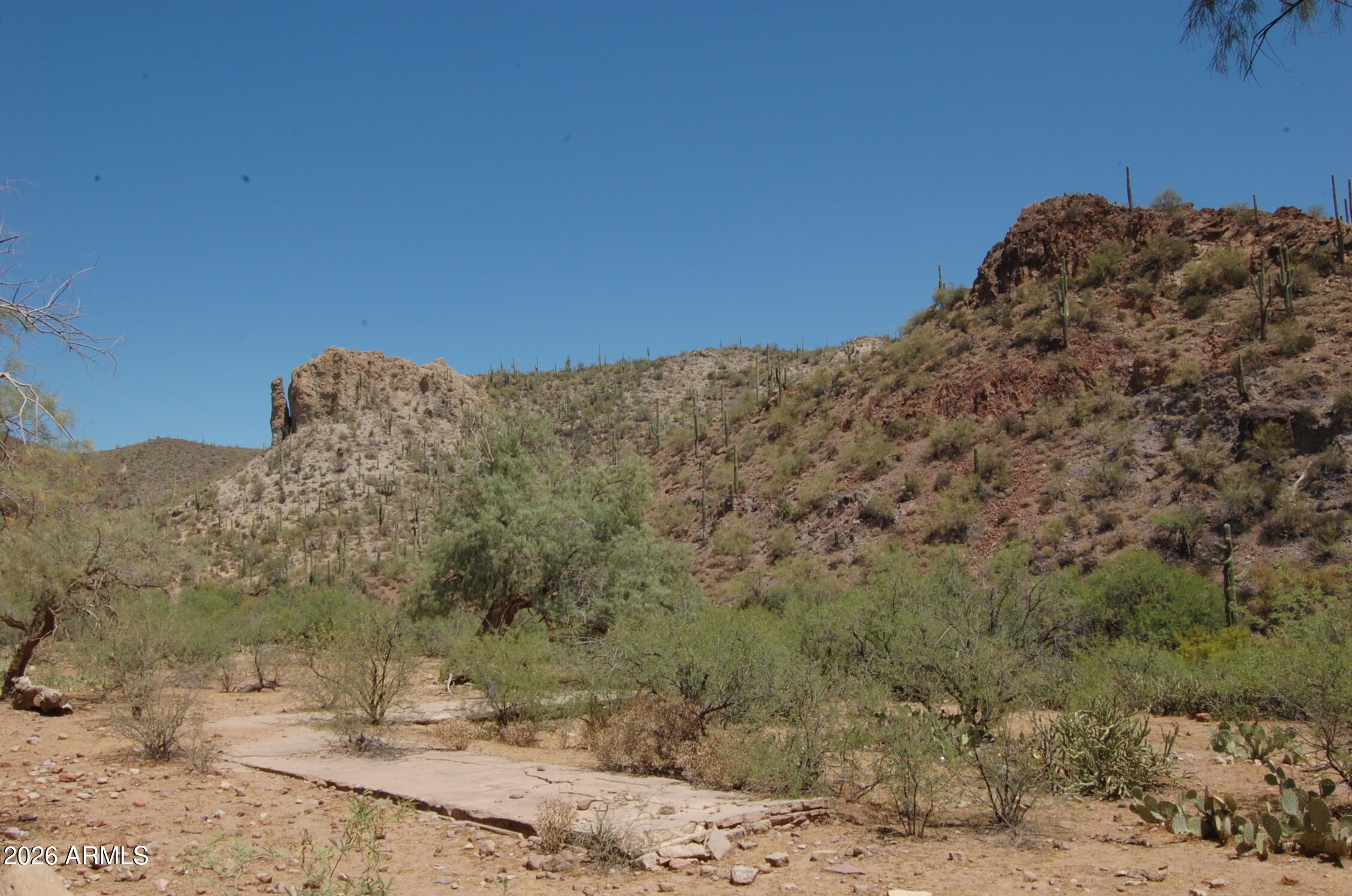 Pleasant Country Ranches - Land