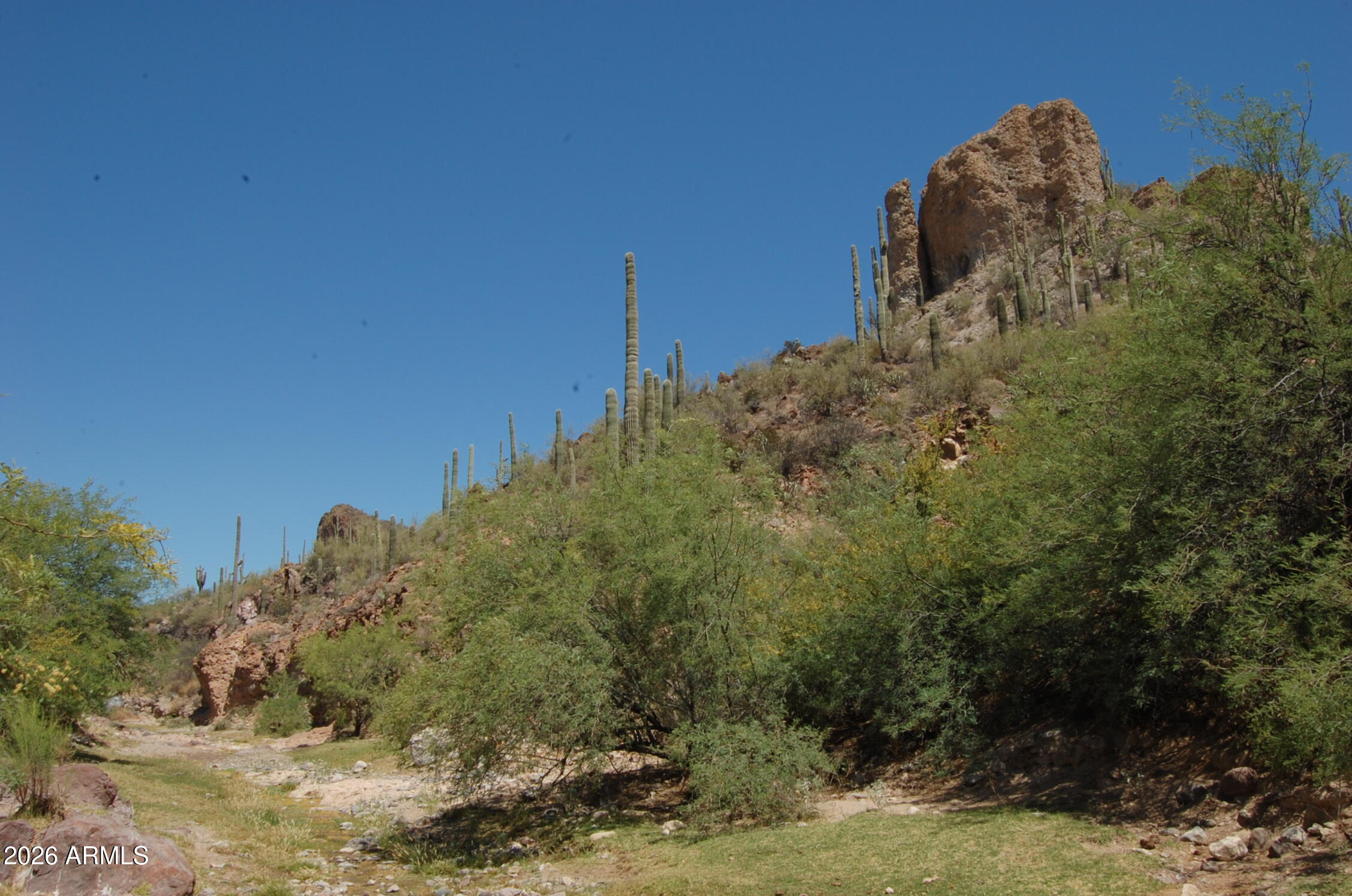 Pleasant Country Ranches - Land