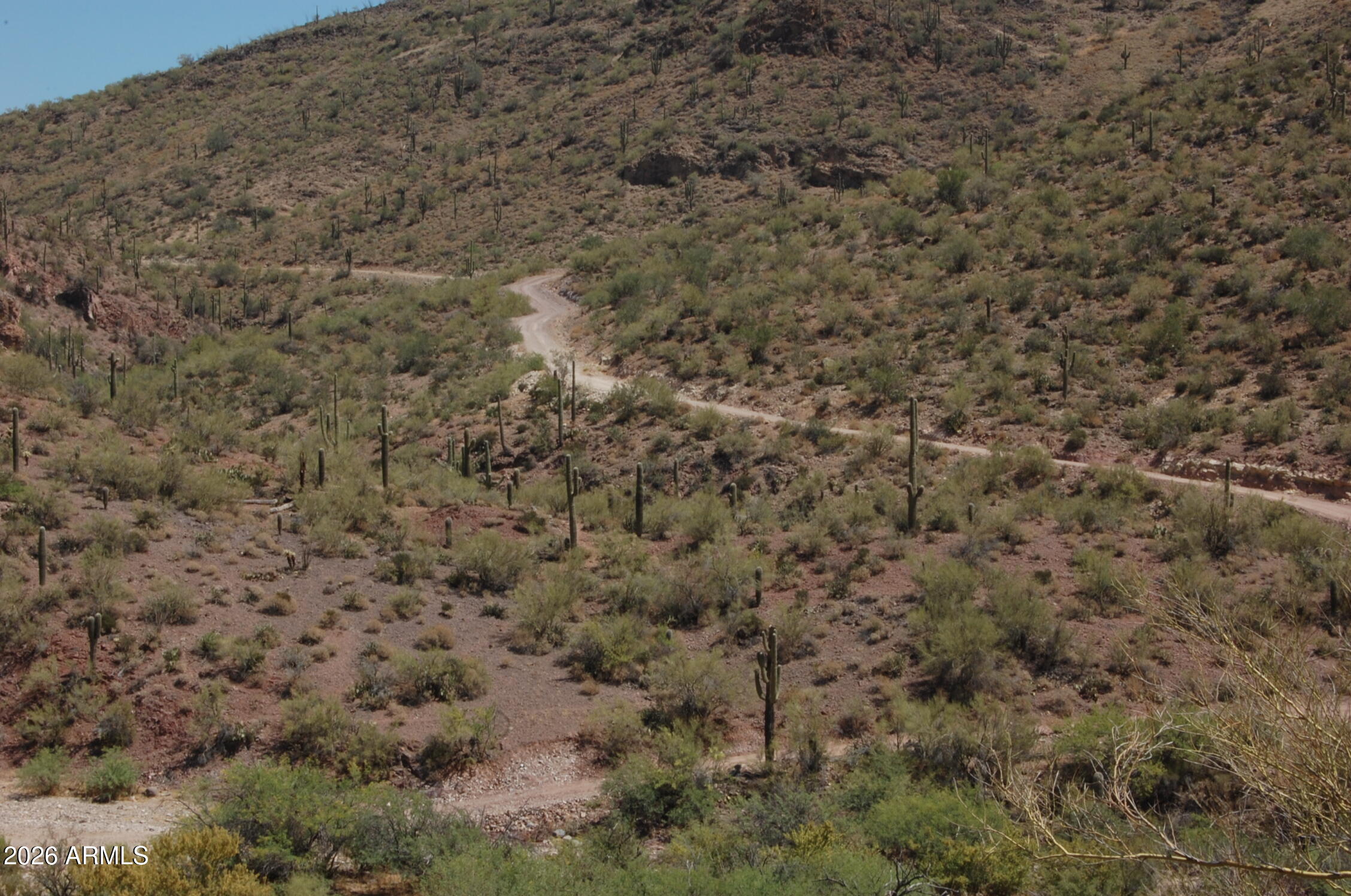 Pleasant Country Ranches - Land